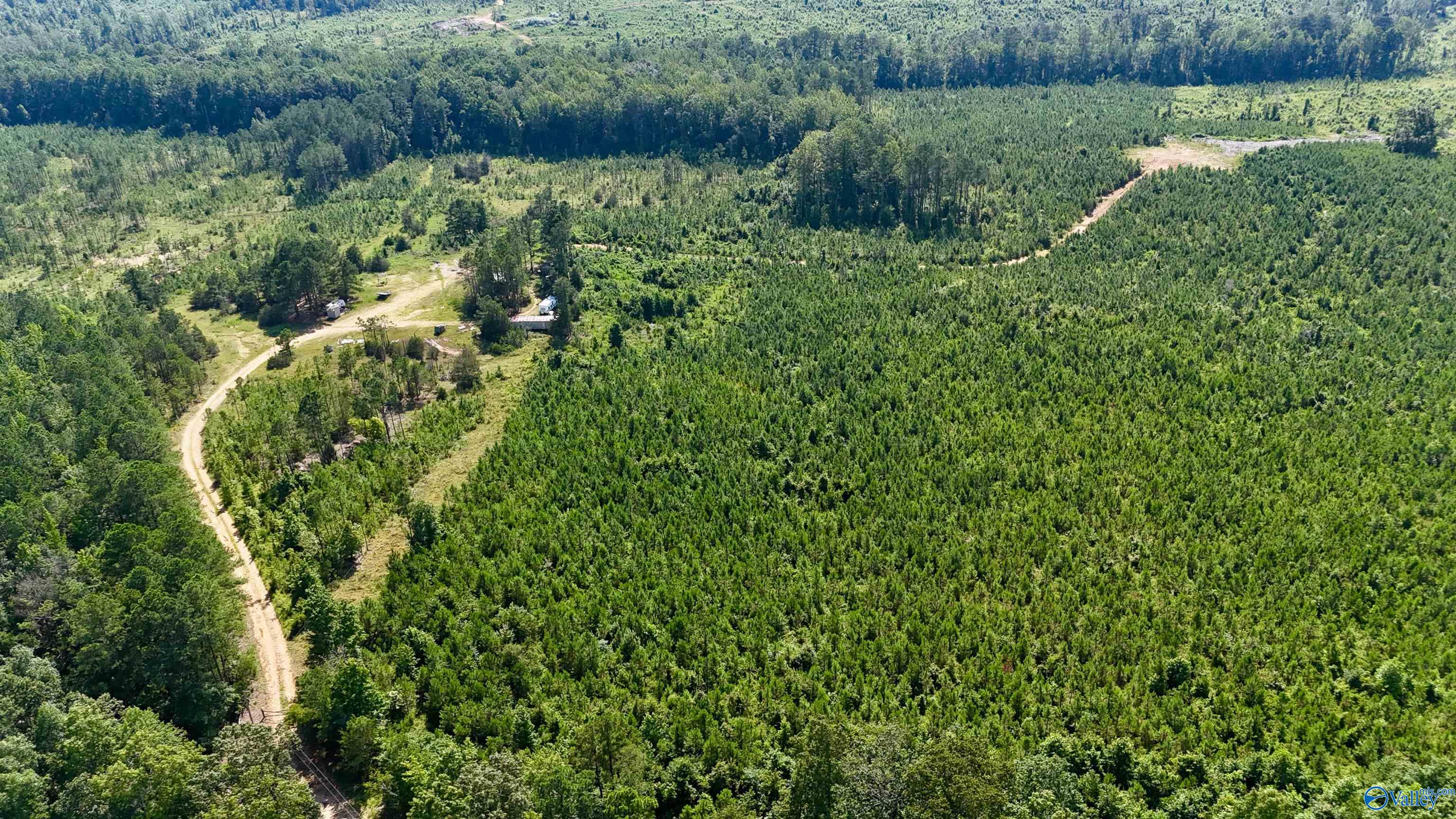 220 Acres on Reese Road