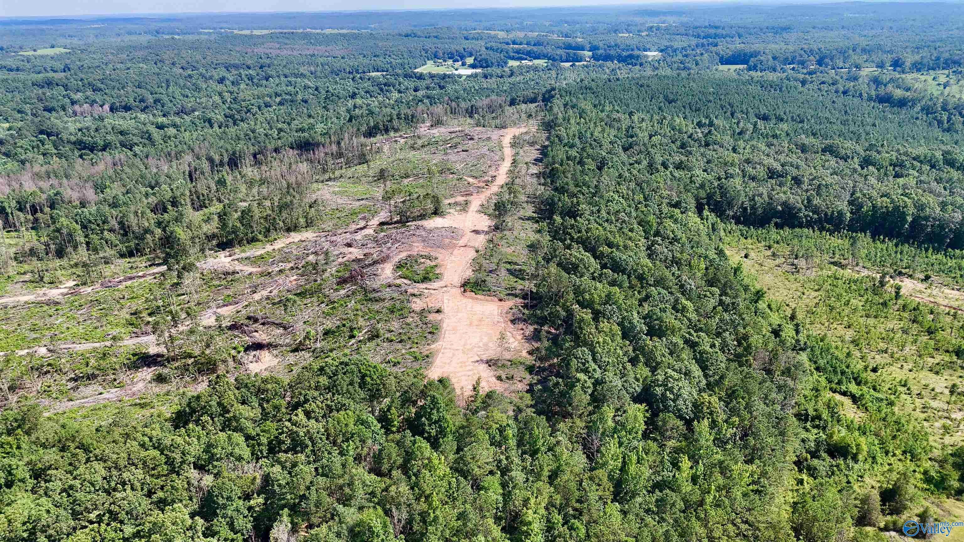 220 Acres on Reese Road