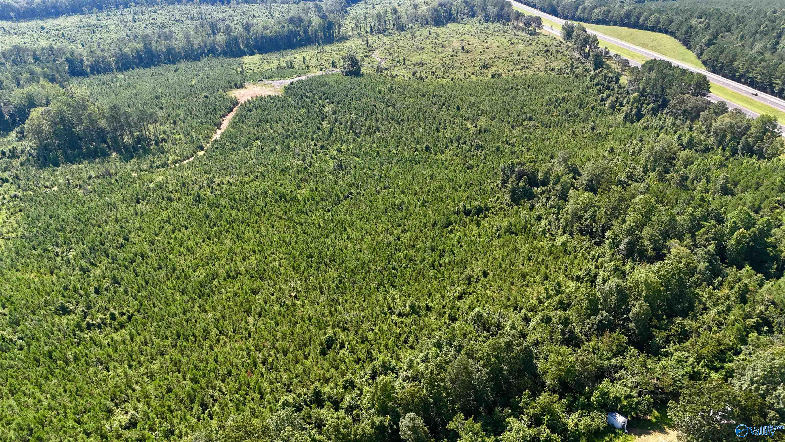 220 Acres on Reese Road