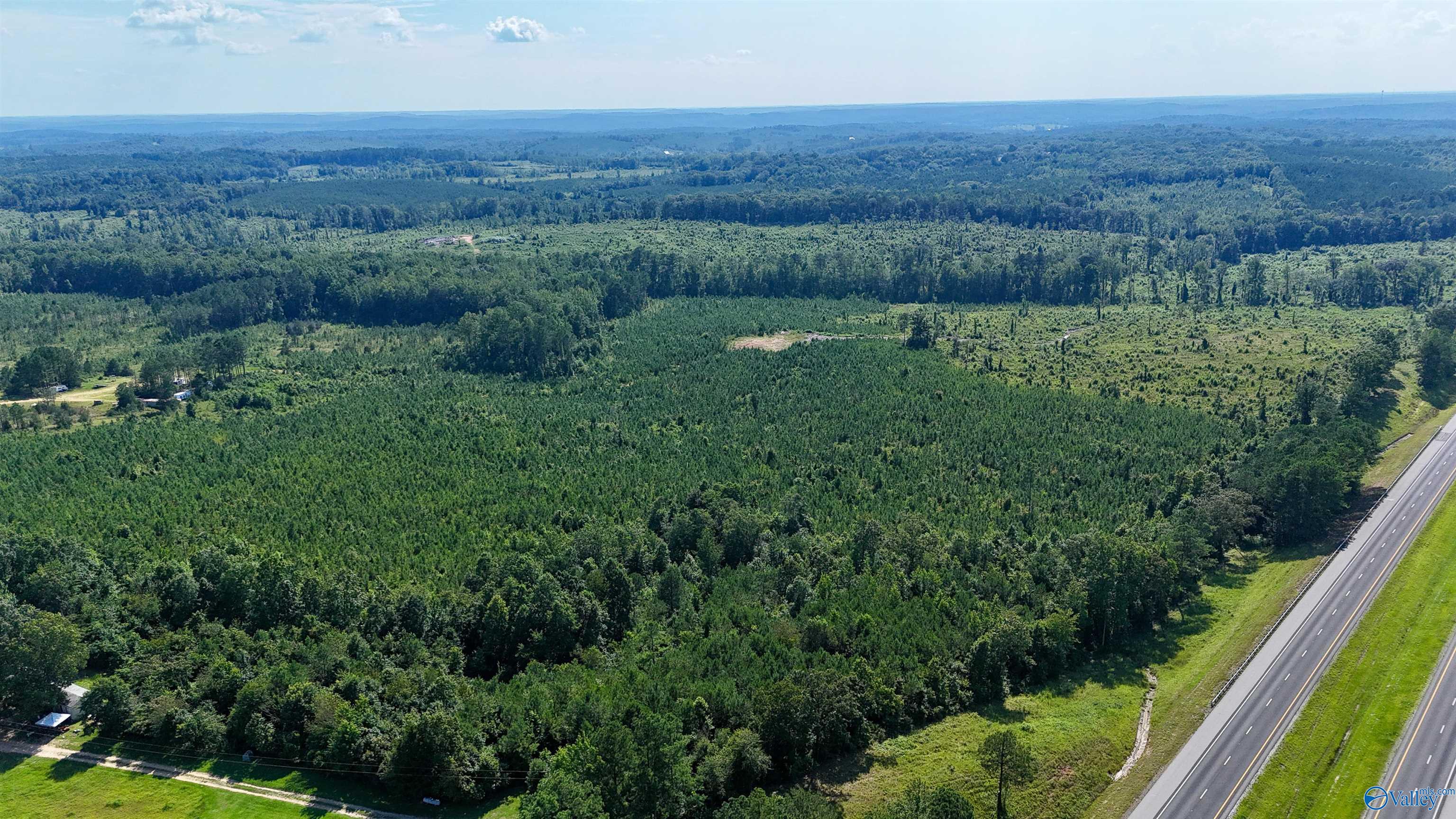 220 Acres on Reese Road