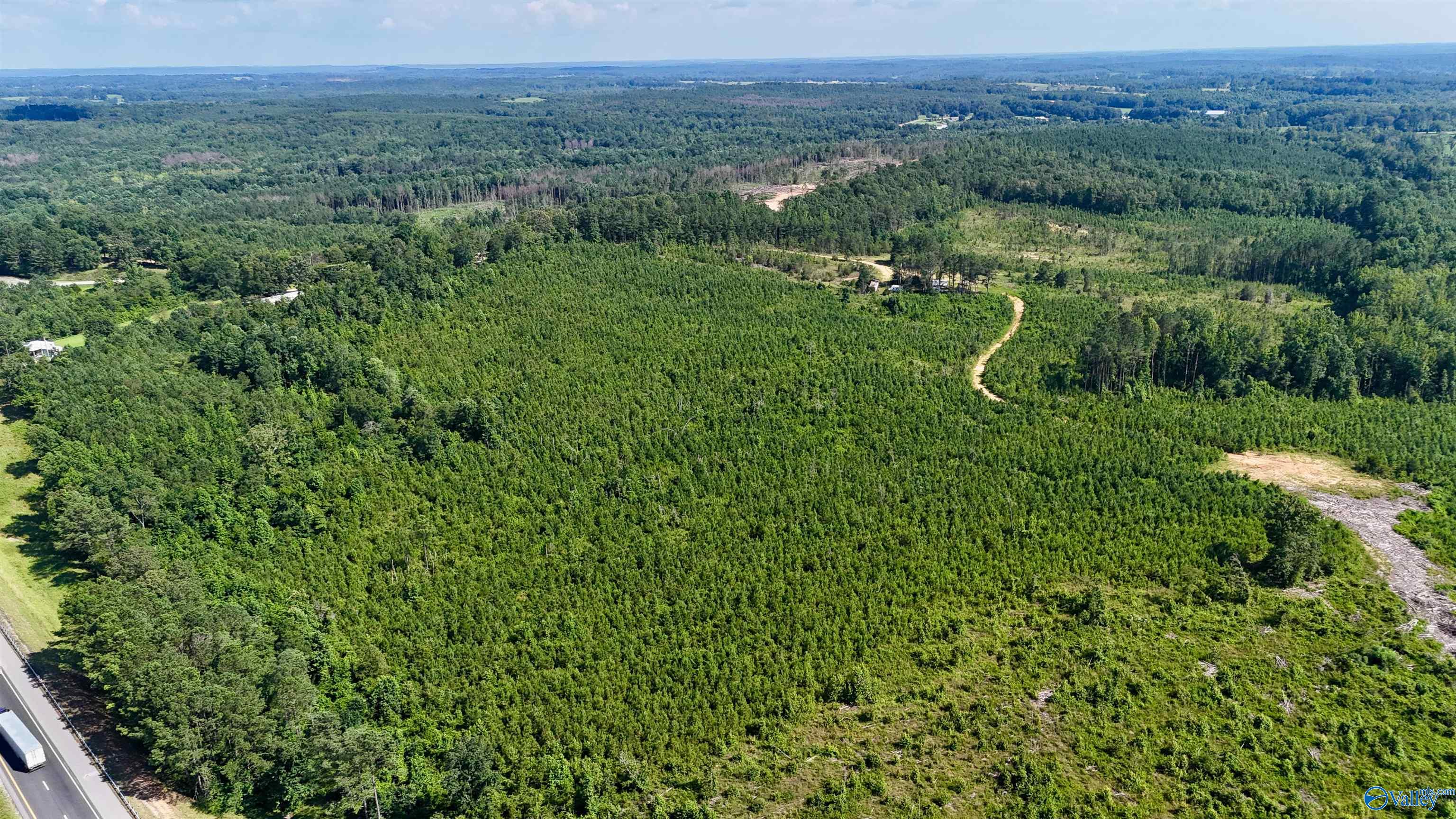 220 Acres on Reese Road