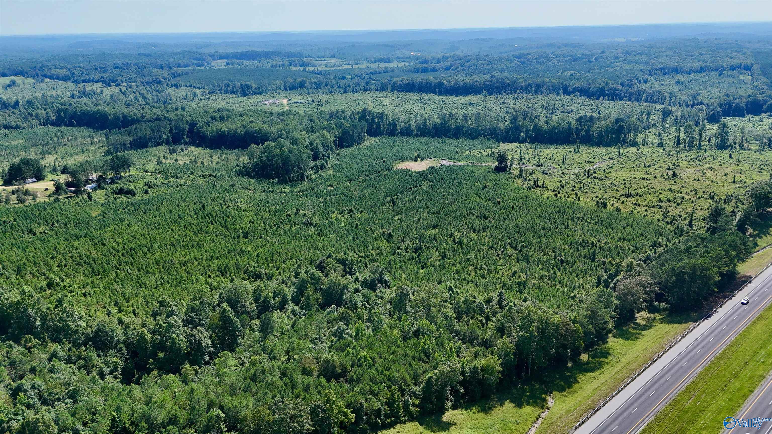 220 Acres on Reese Road