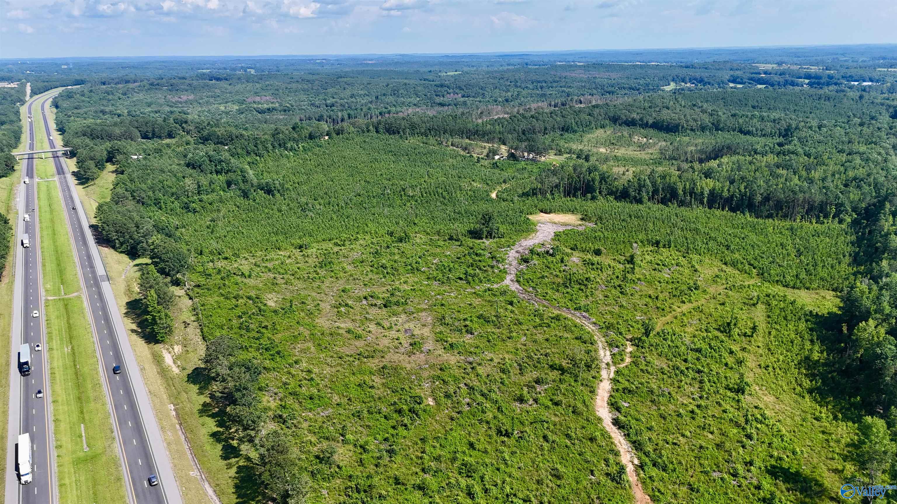 220 Acres on Reese Road