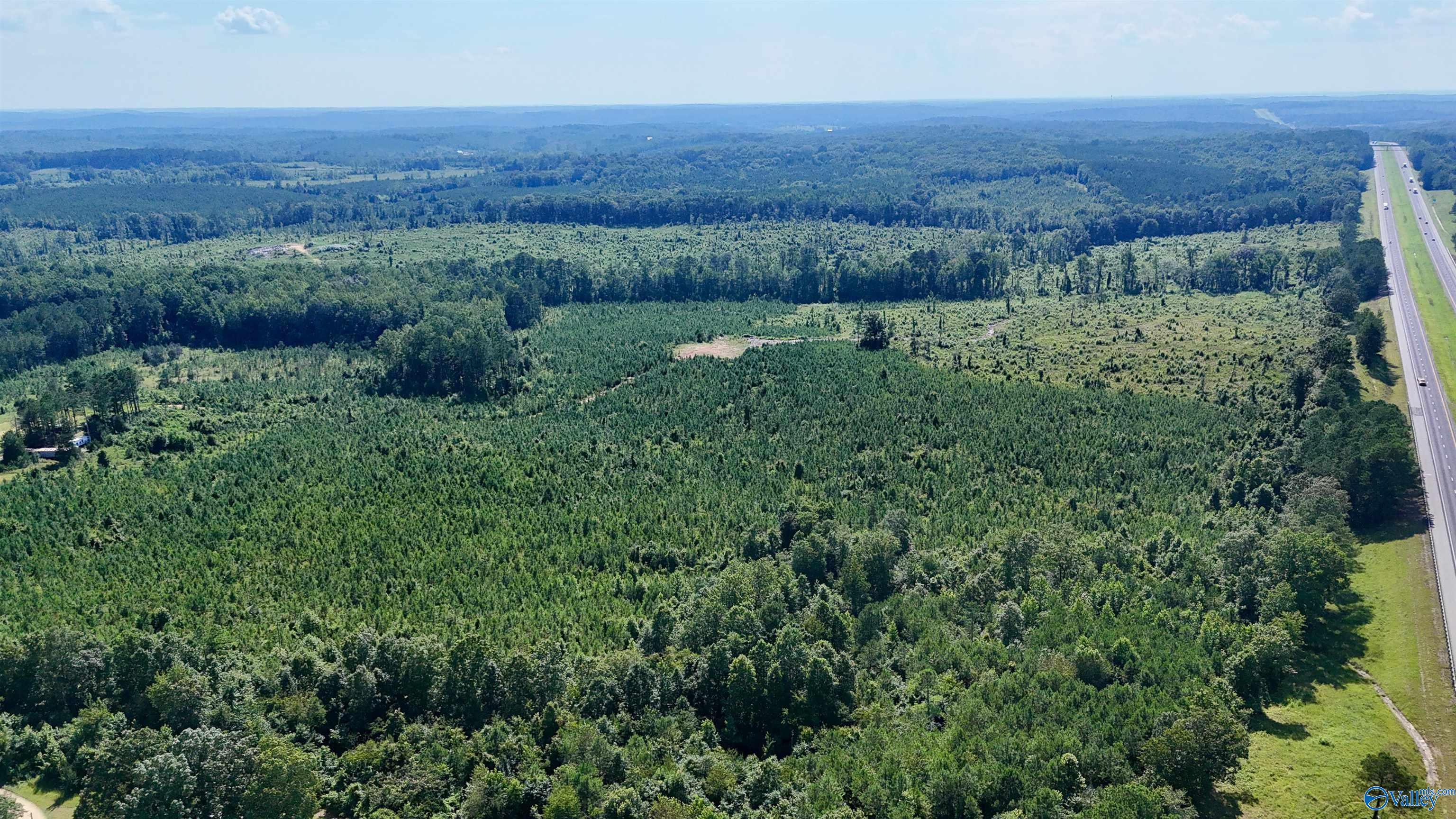 220 Acres on Reese Road