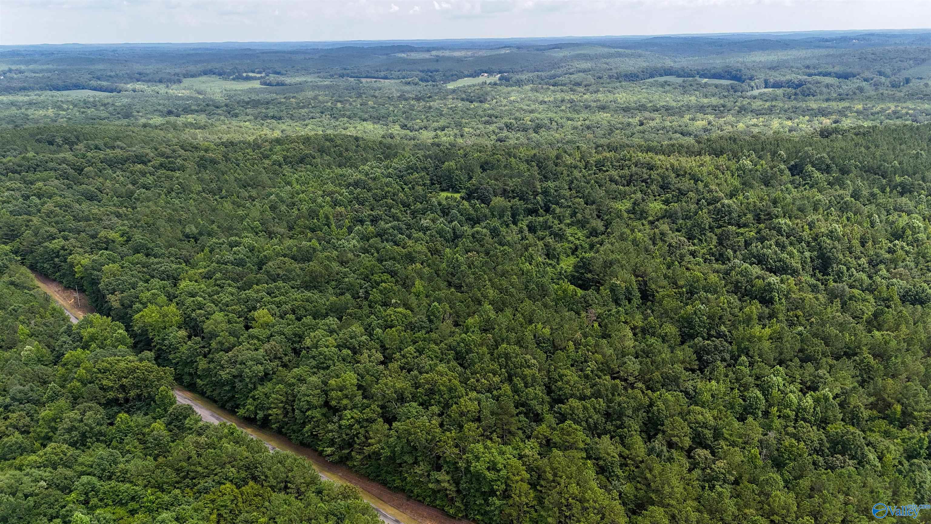 39 Acres County Road 87