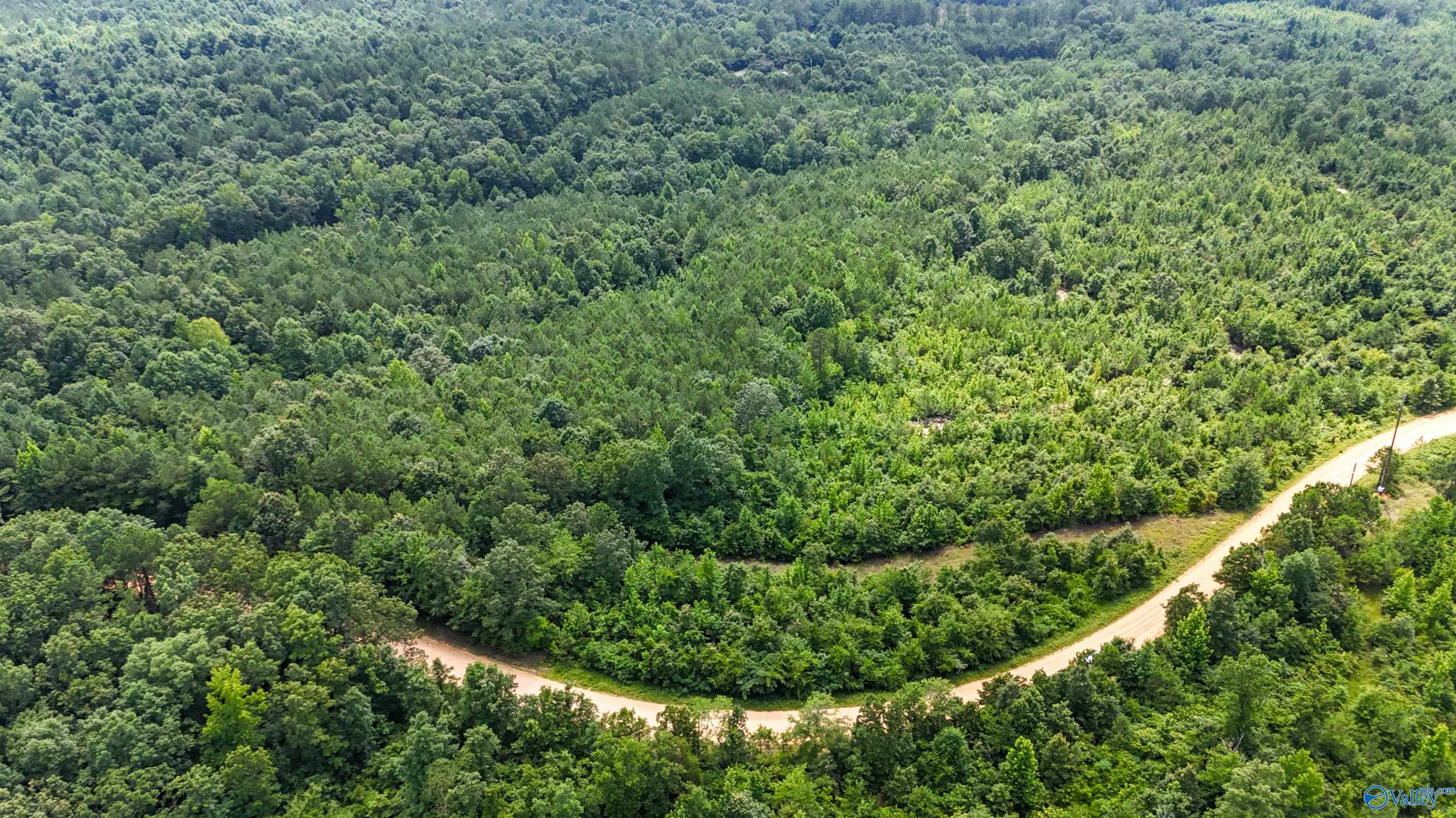 39 Acres County Road 87