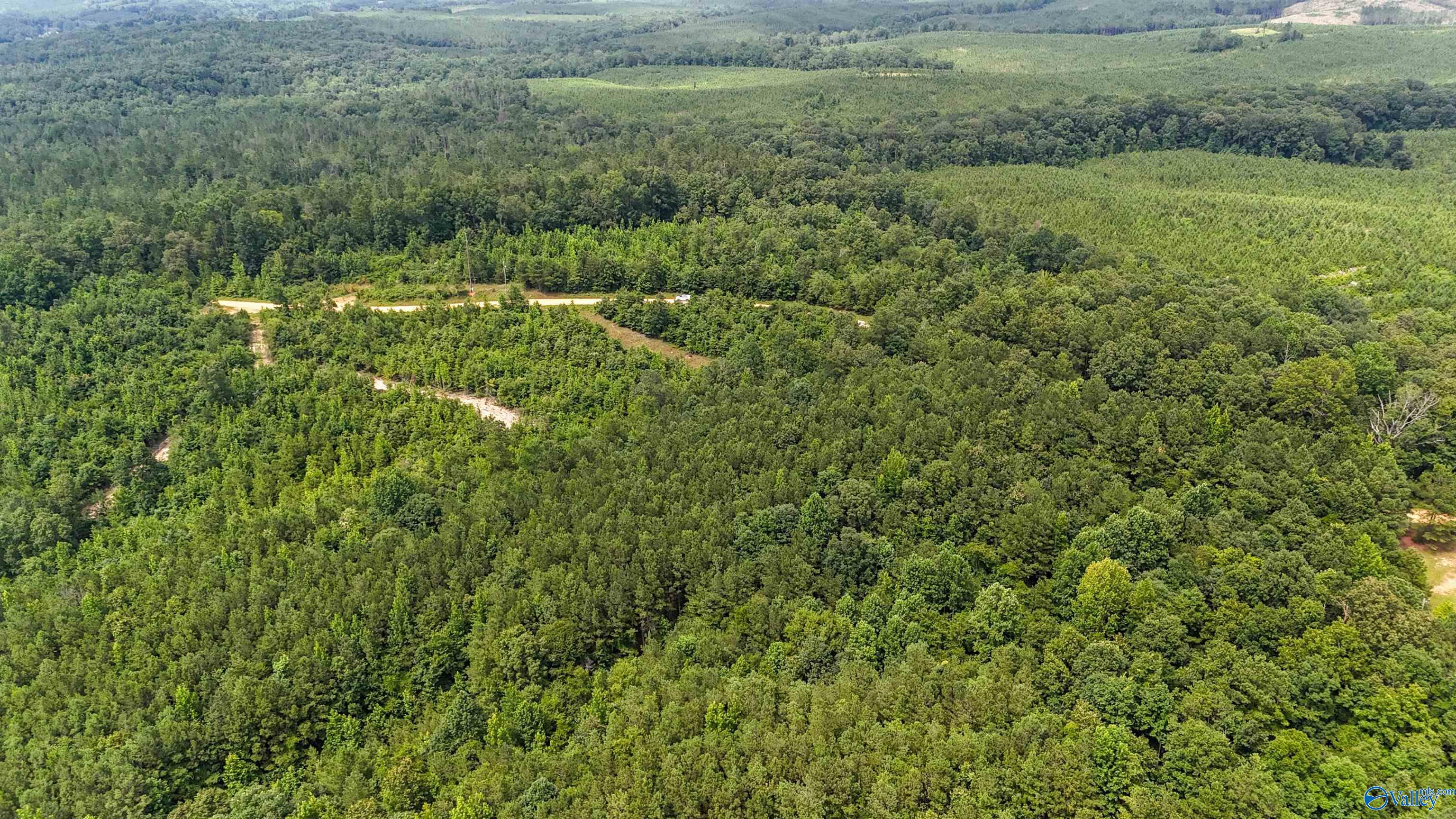 39 Acres County Road 87