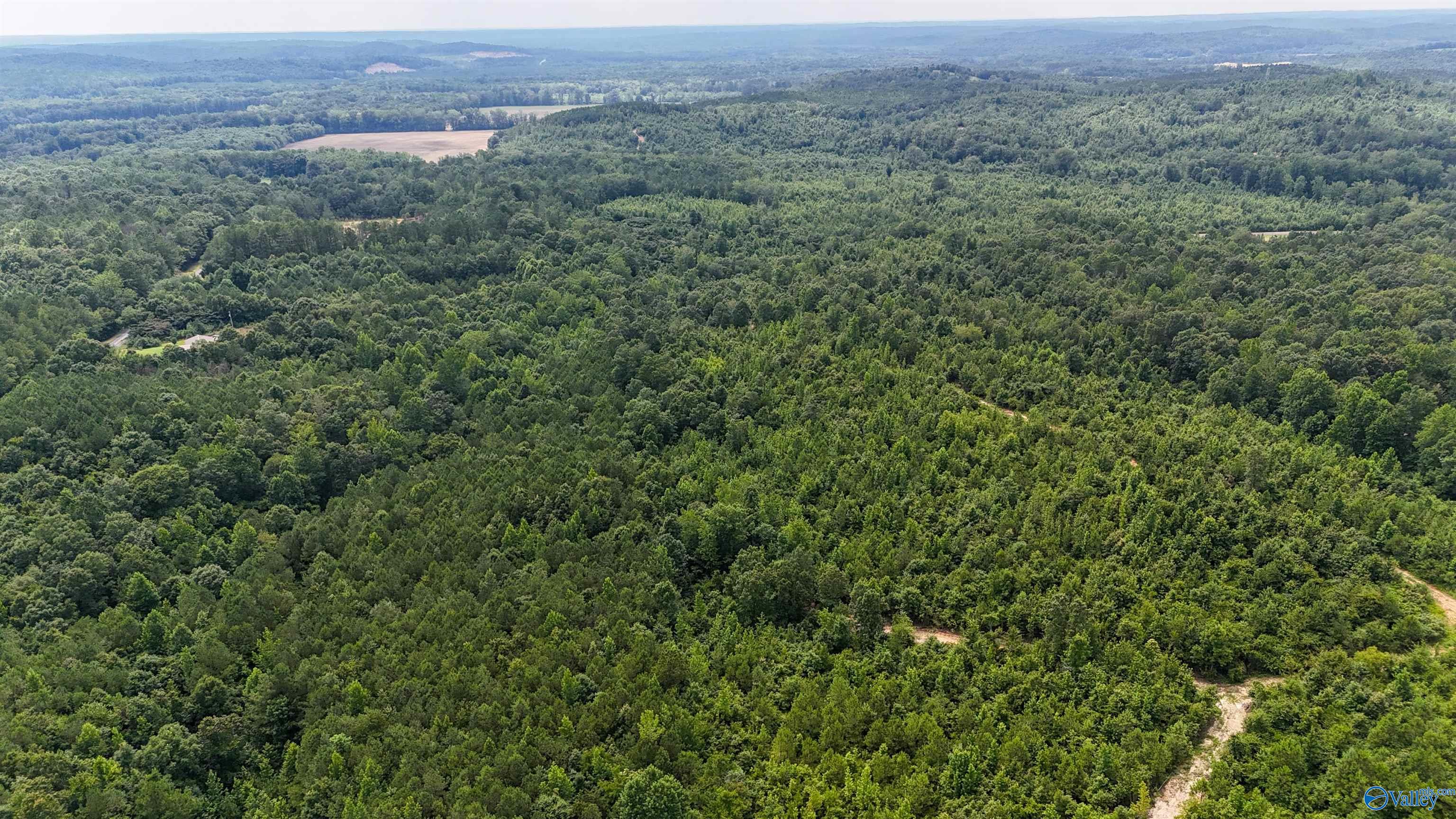 39 Acres County Road 87