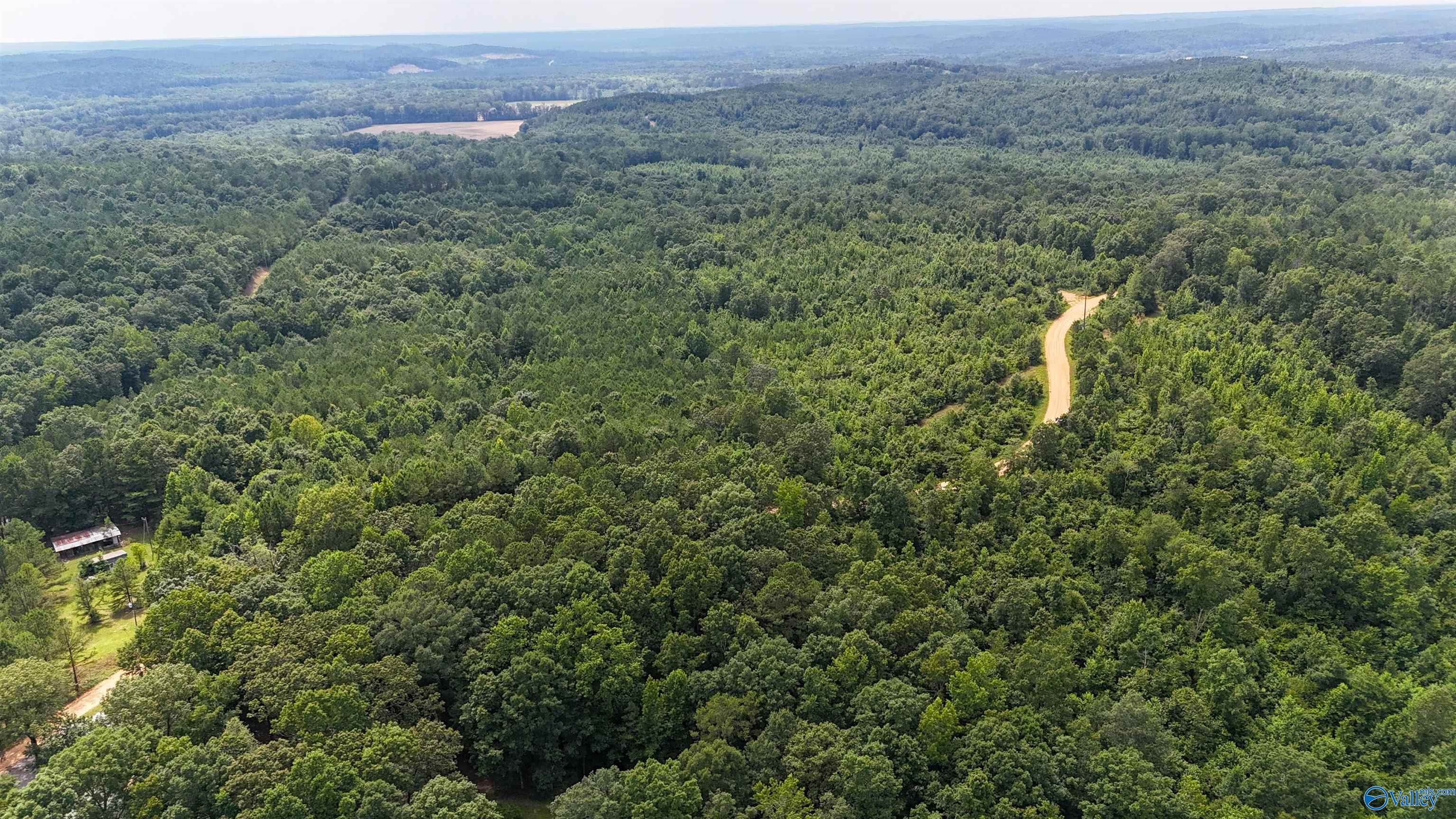 39 Acres County Road 87