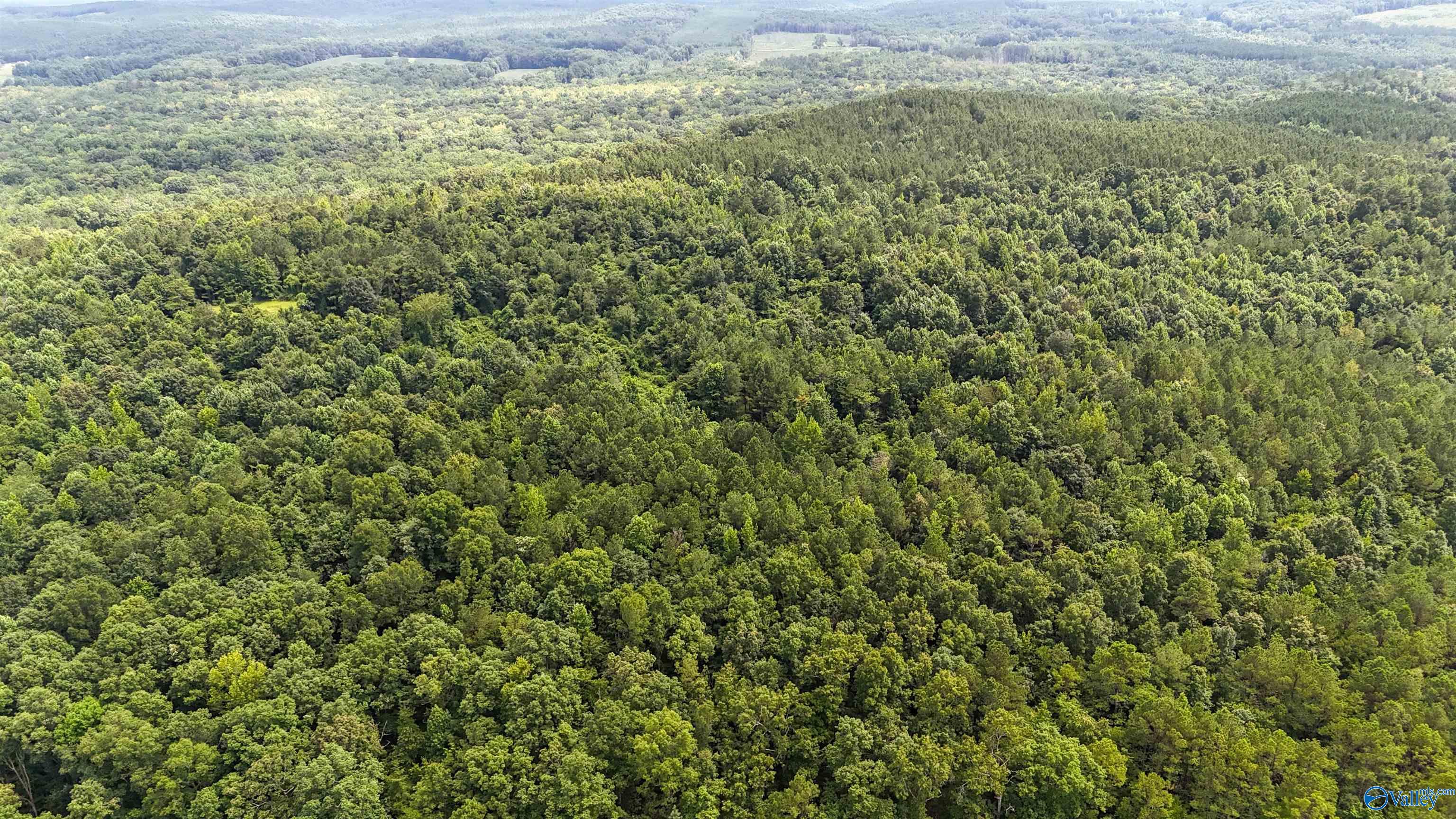 39 Acres County Road 87