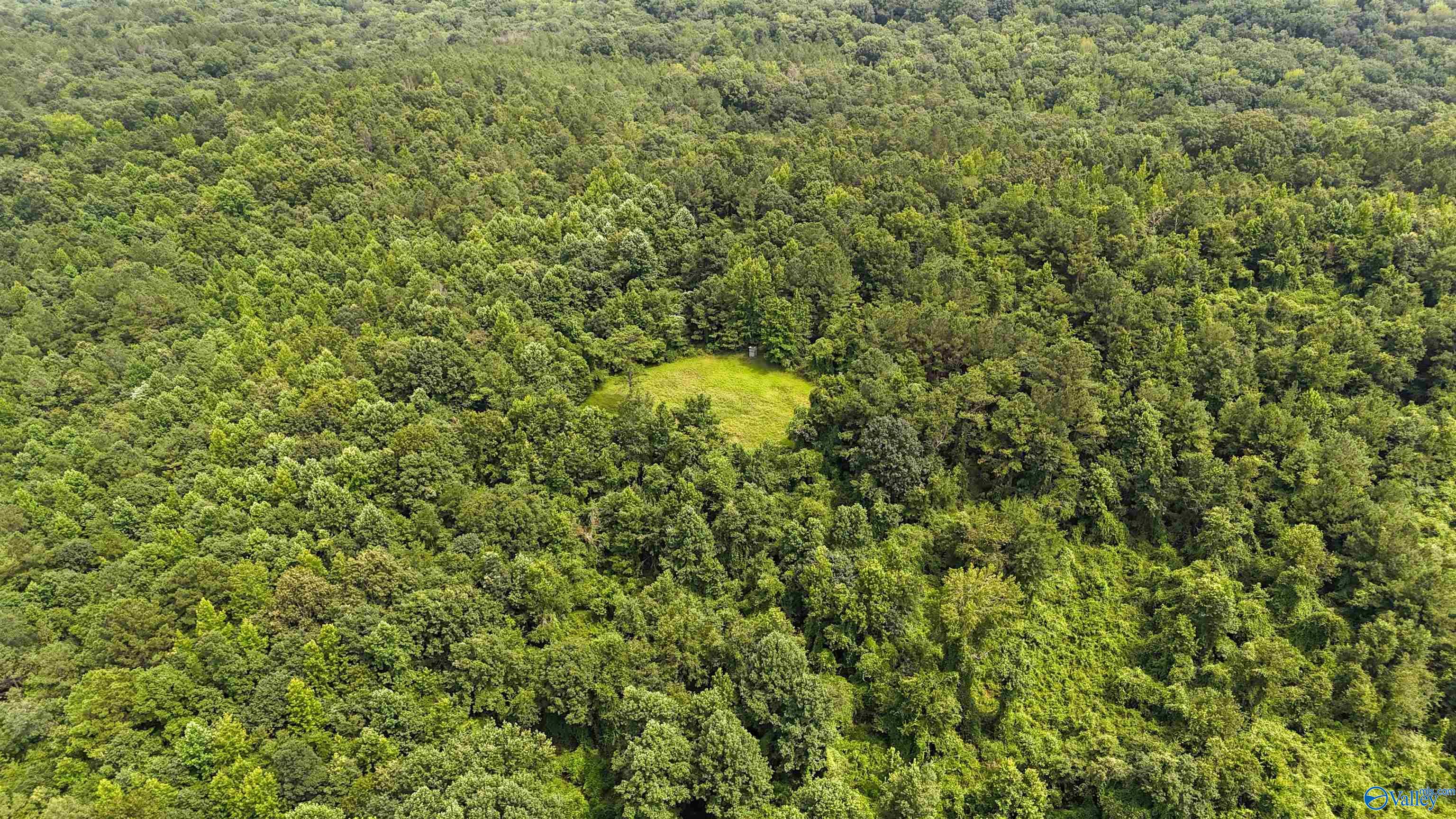 39 Acres County Road 87