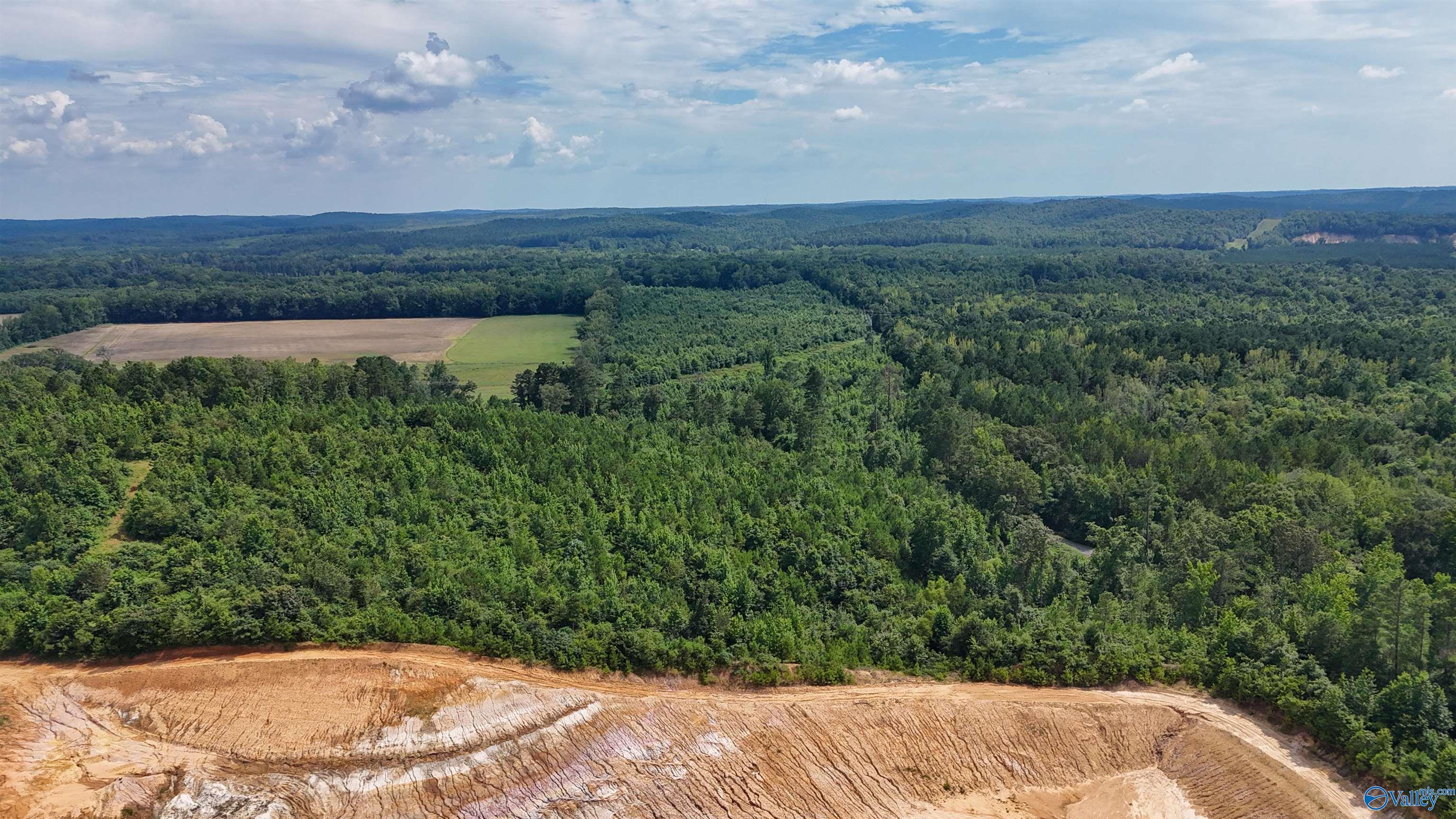 78 ACRES County Highway 56