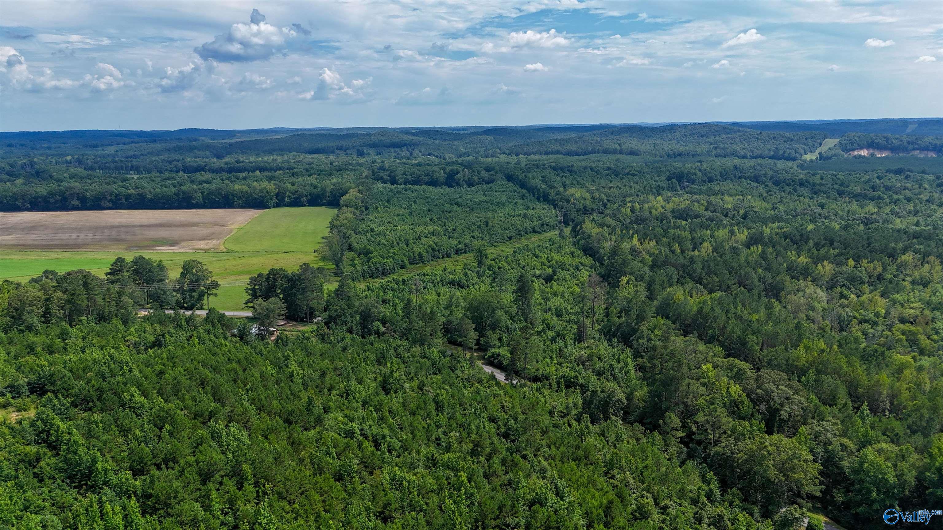 78 ACRES County Highway 56
