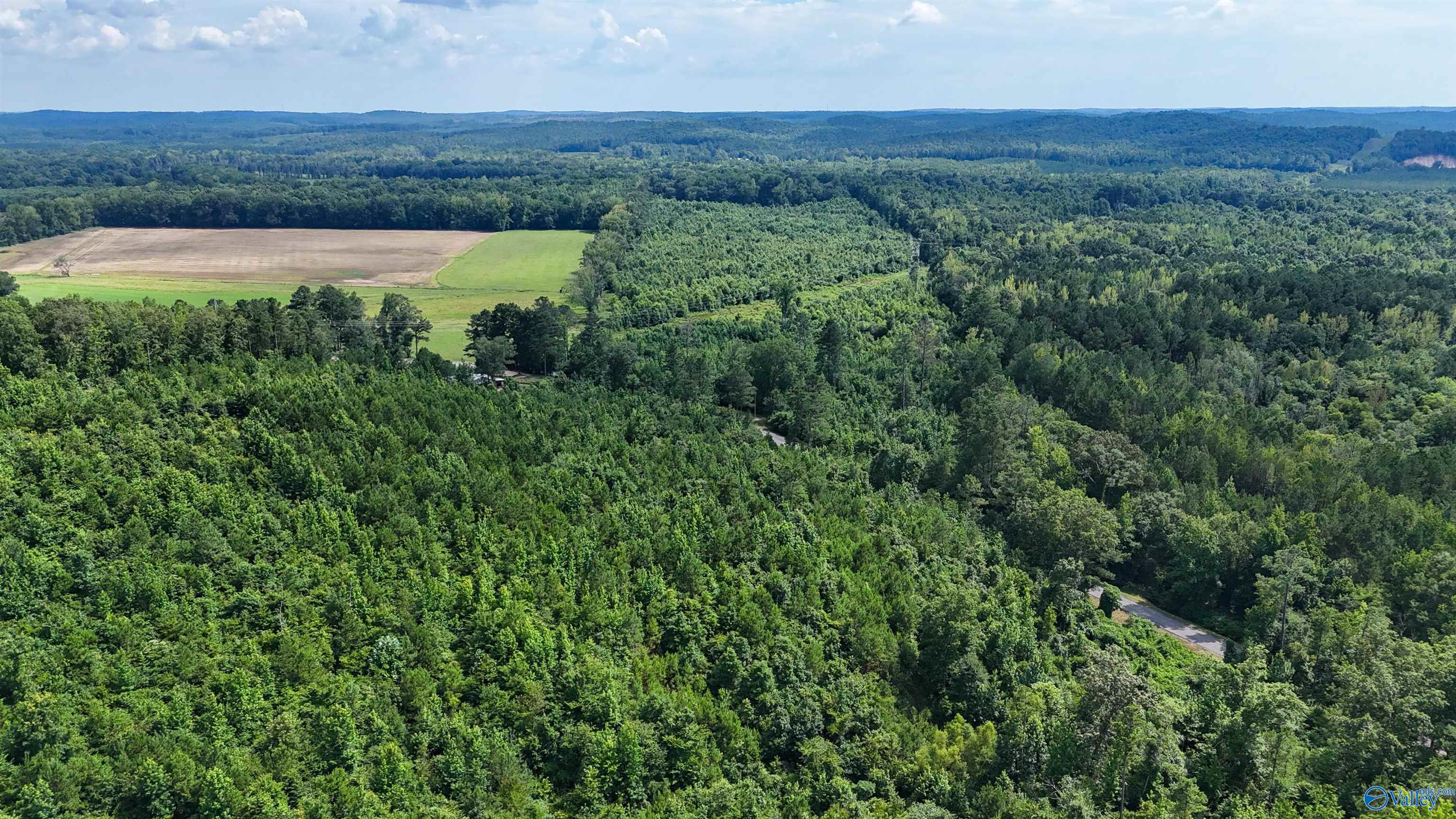 78 ACRES County Highway 56