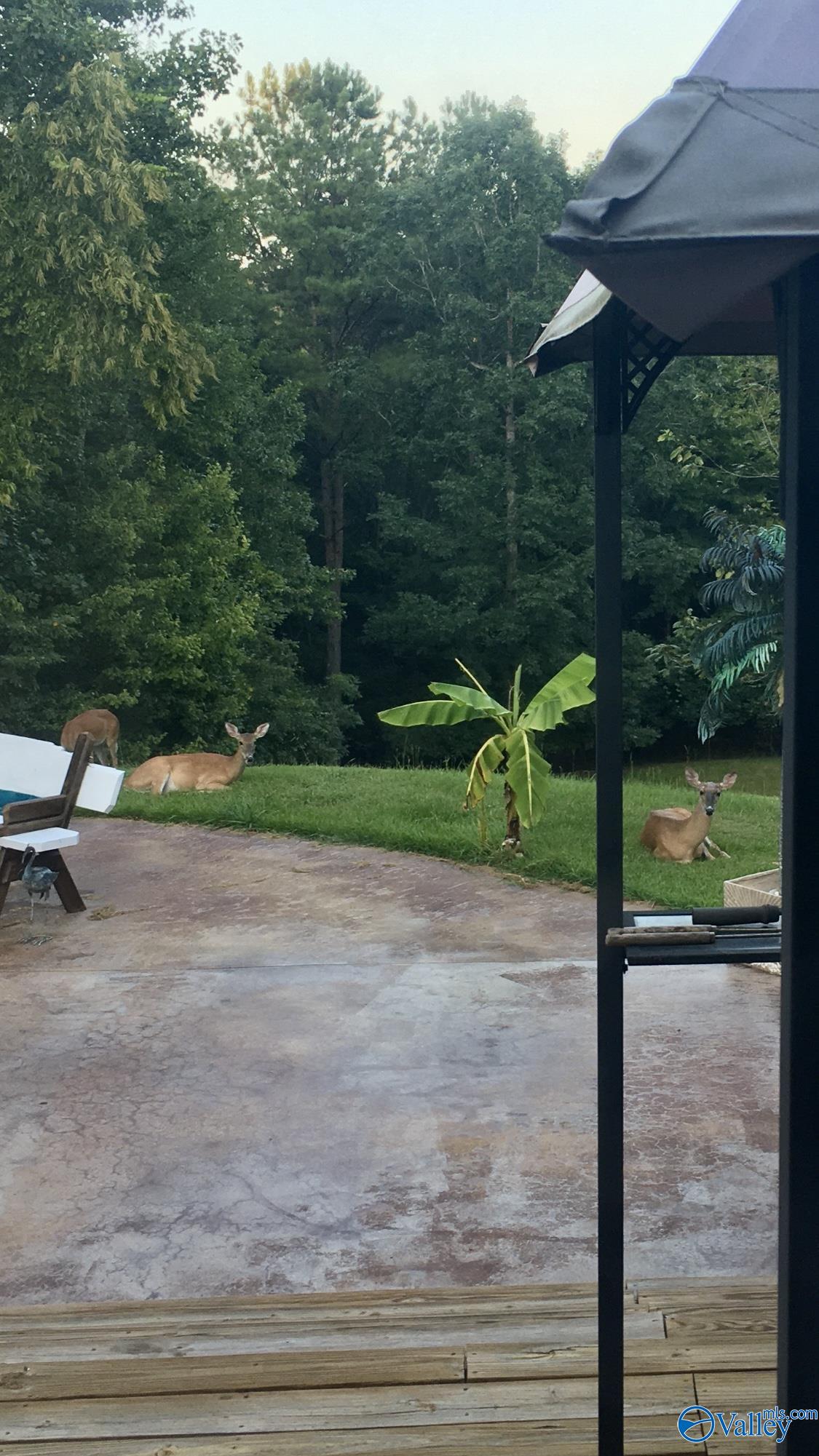 2000 Buttahatchee Drive