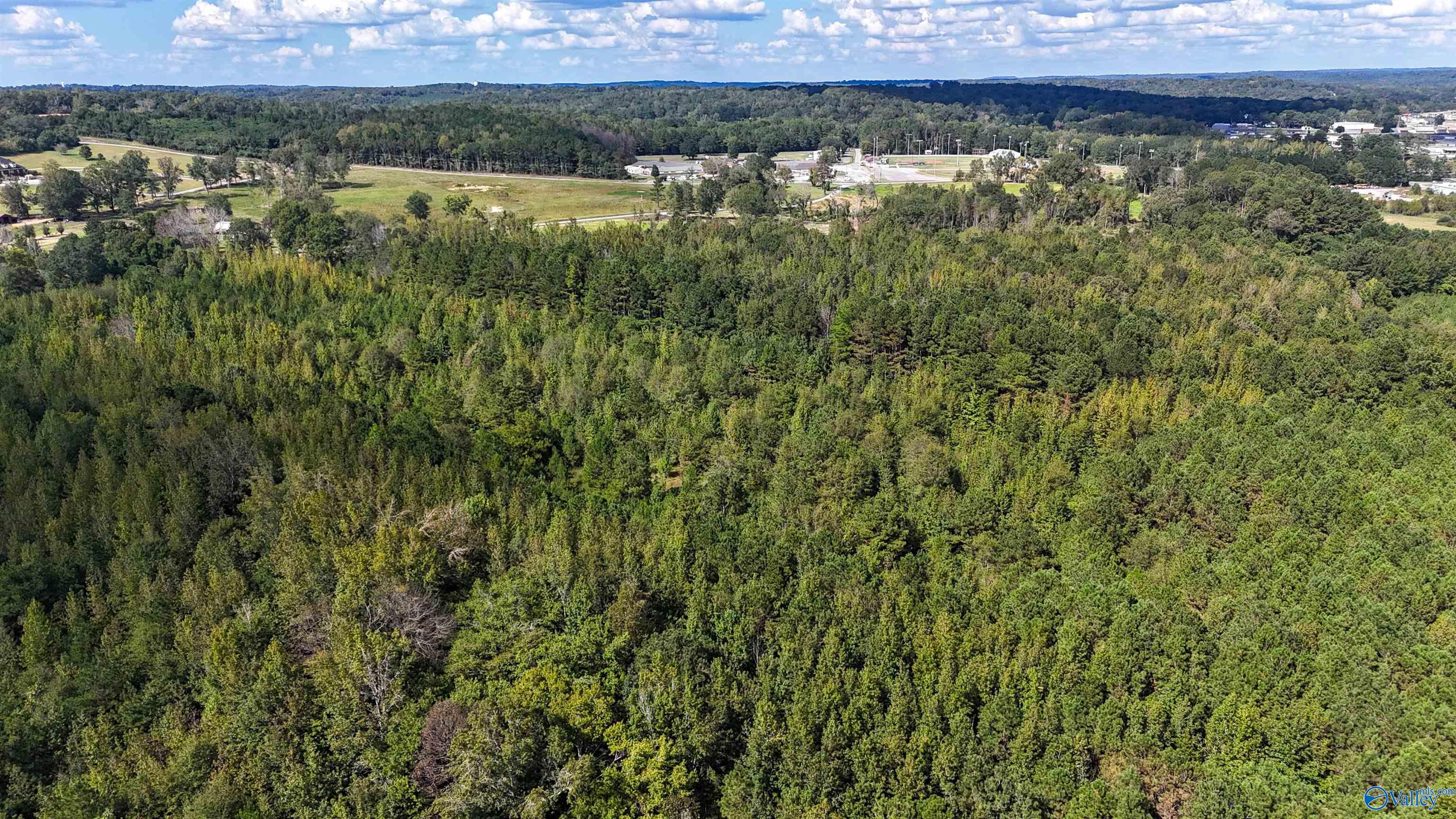 44 Acres Tall Oak Trail