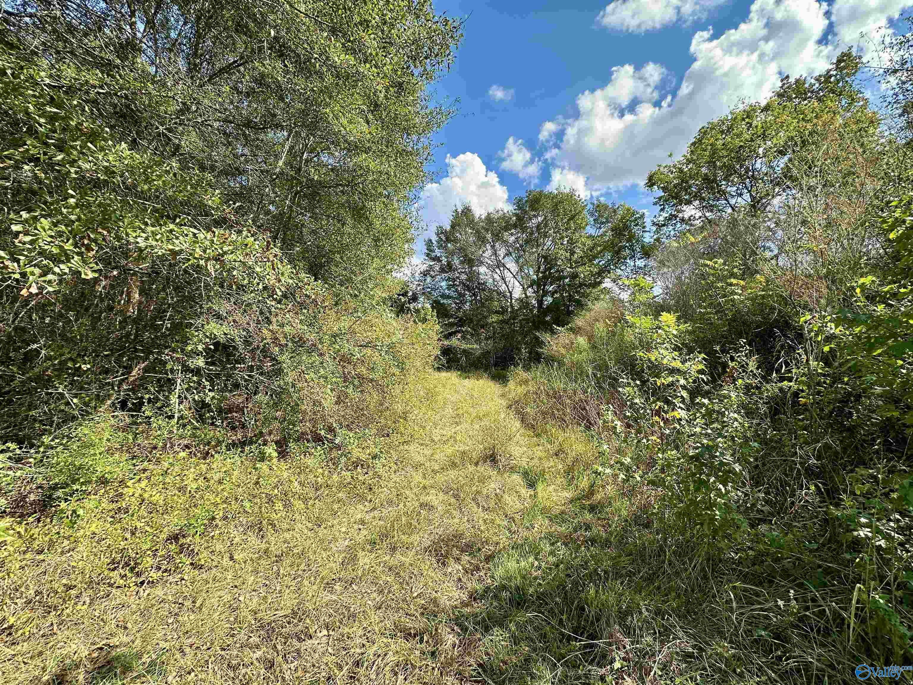 44 Acres Tall Oak Trail