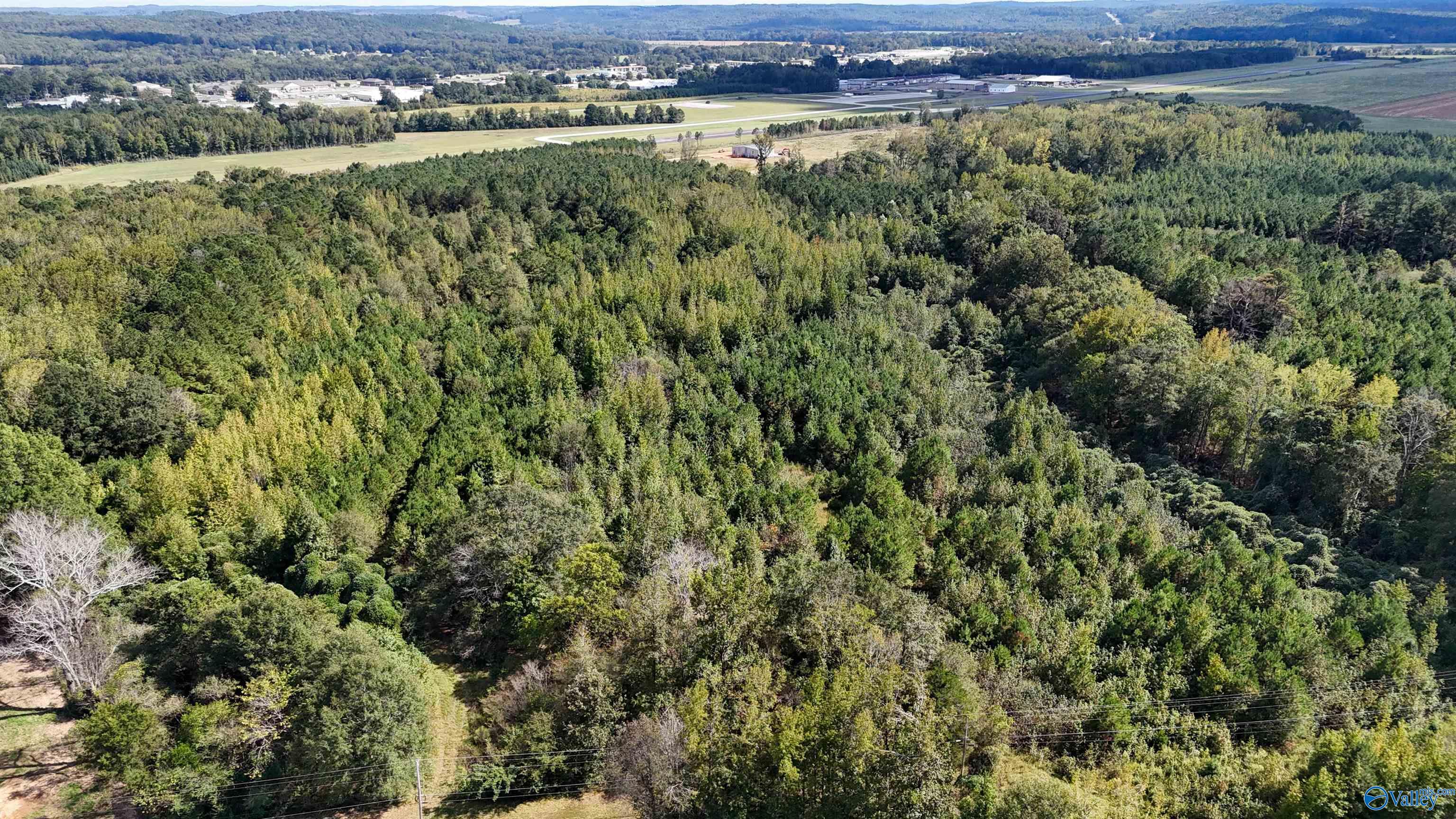 44 Acres Tall Oak Trail