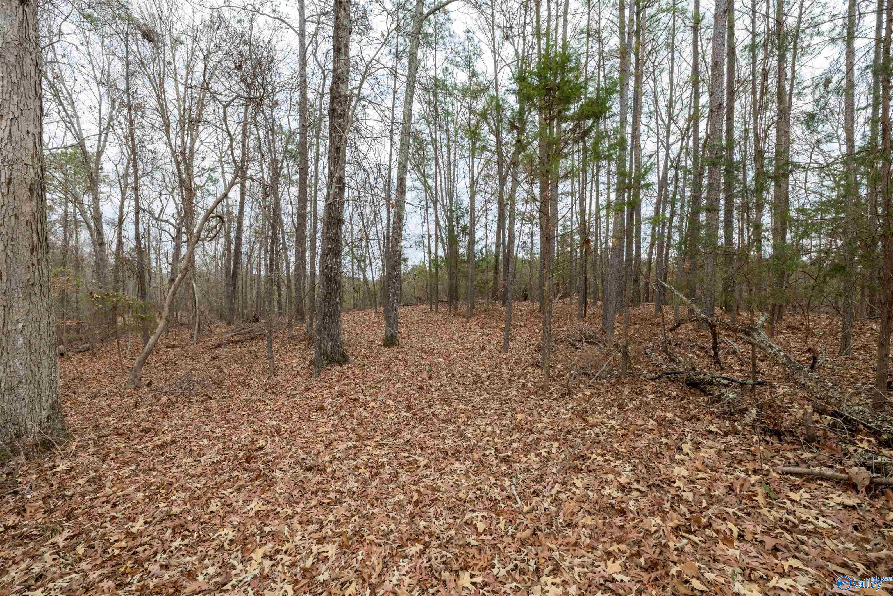 2.3 Acres County Highway 29