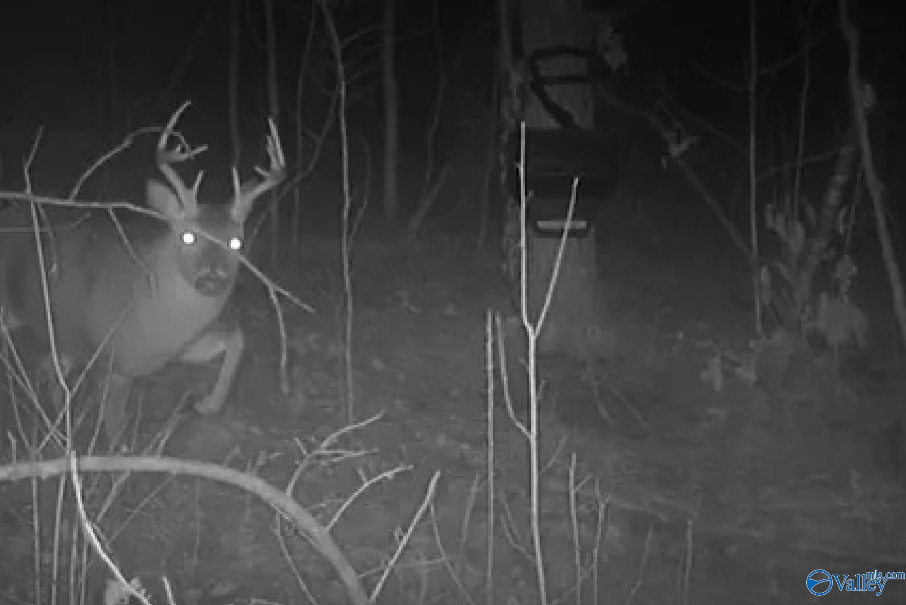 2.3 Acres County Highway 29