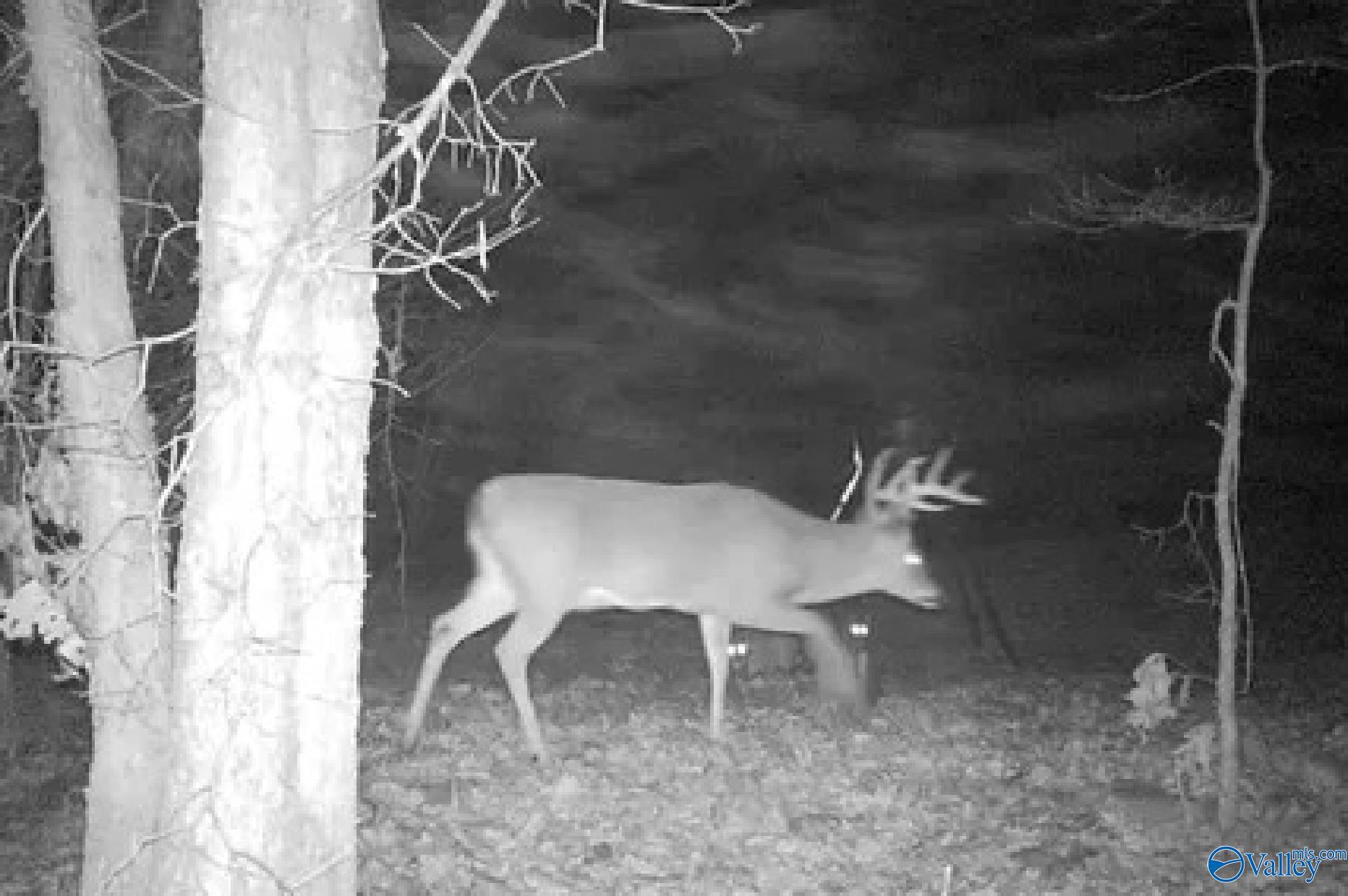 2.3 Acres County Highway 29