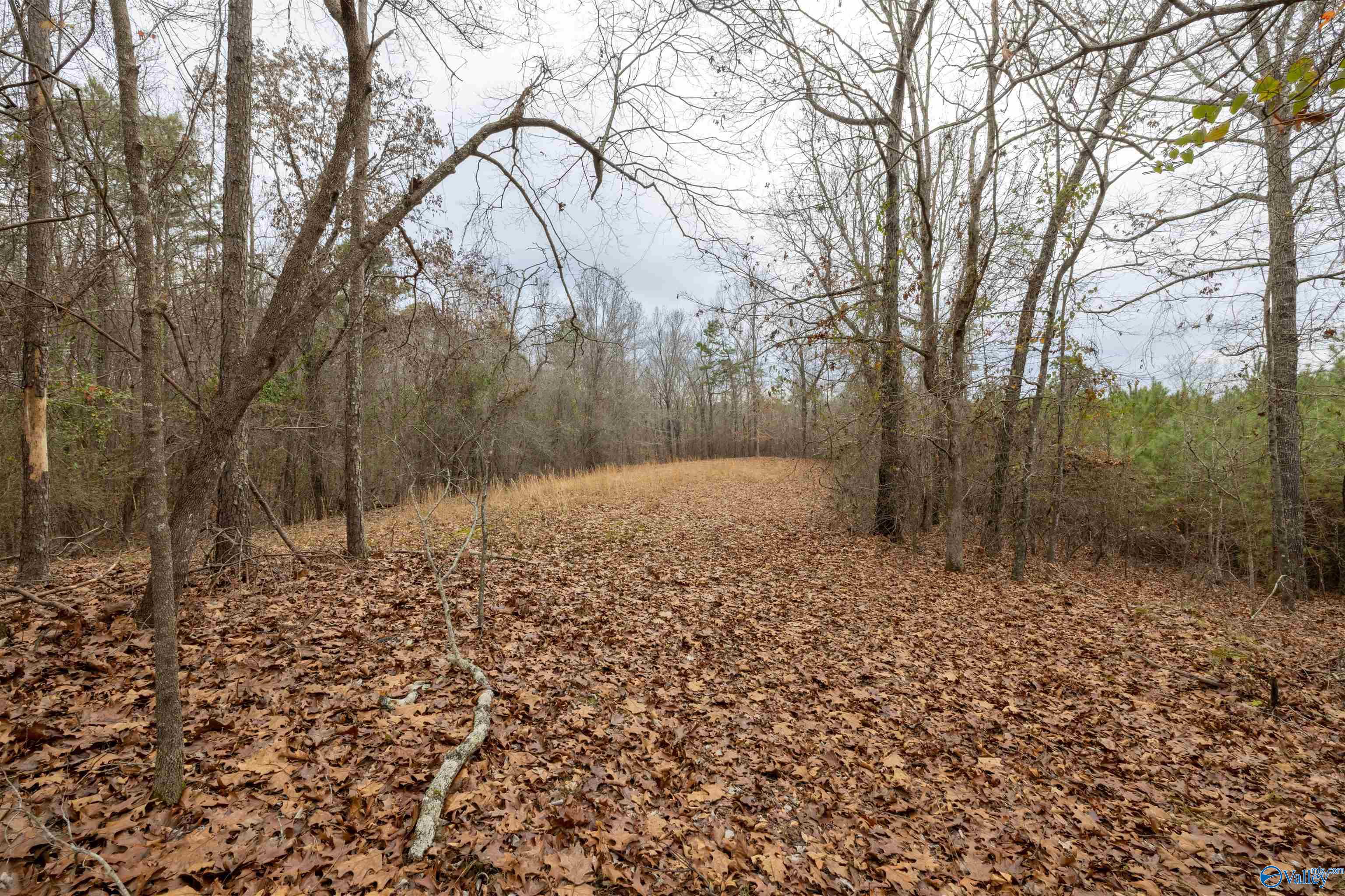 2.3 Acres County Highway 29