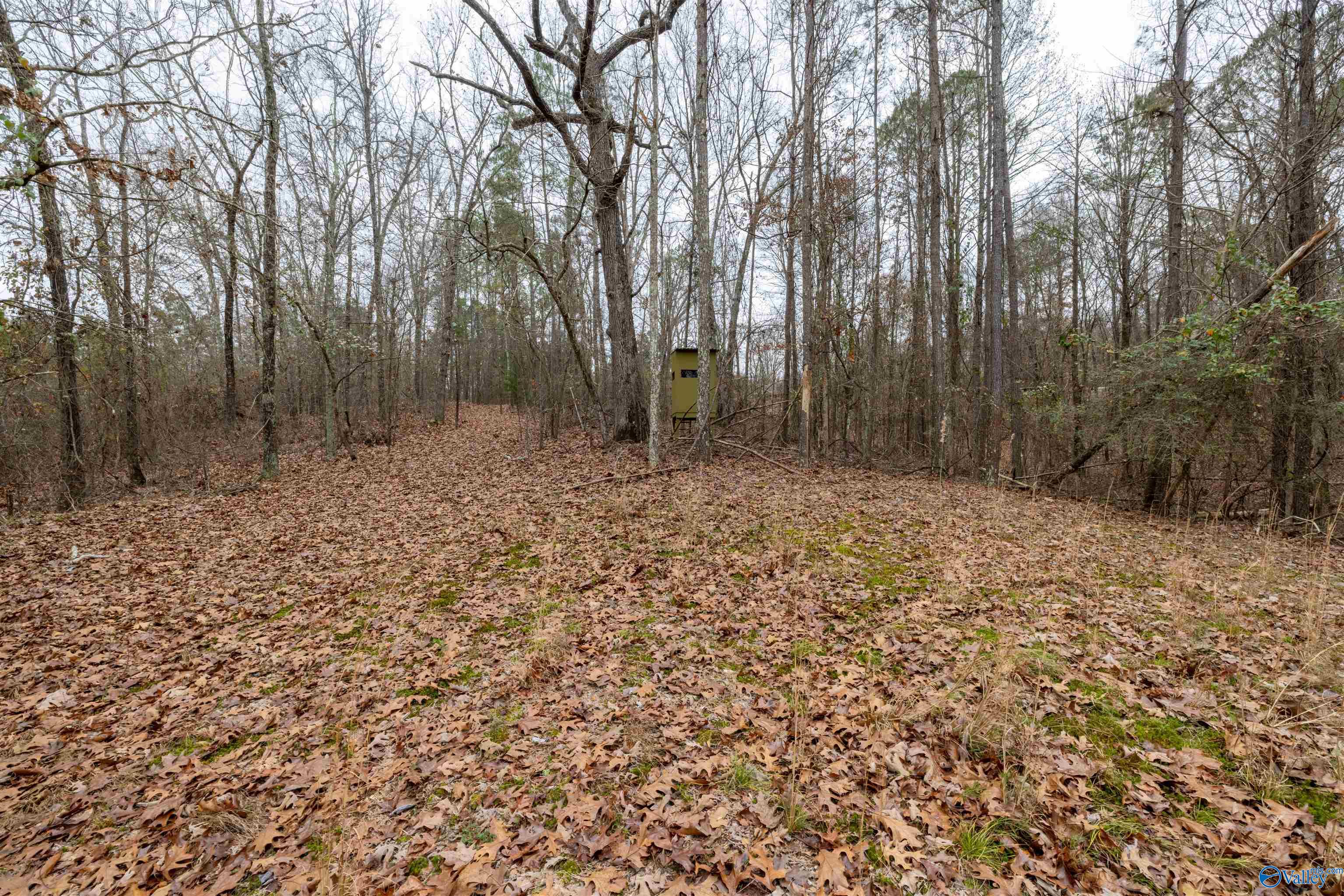 2.3 Acres County Highway 29