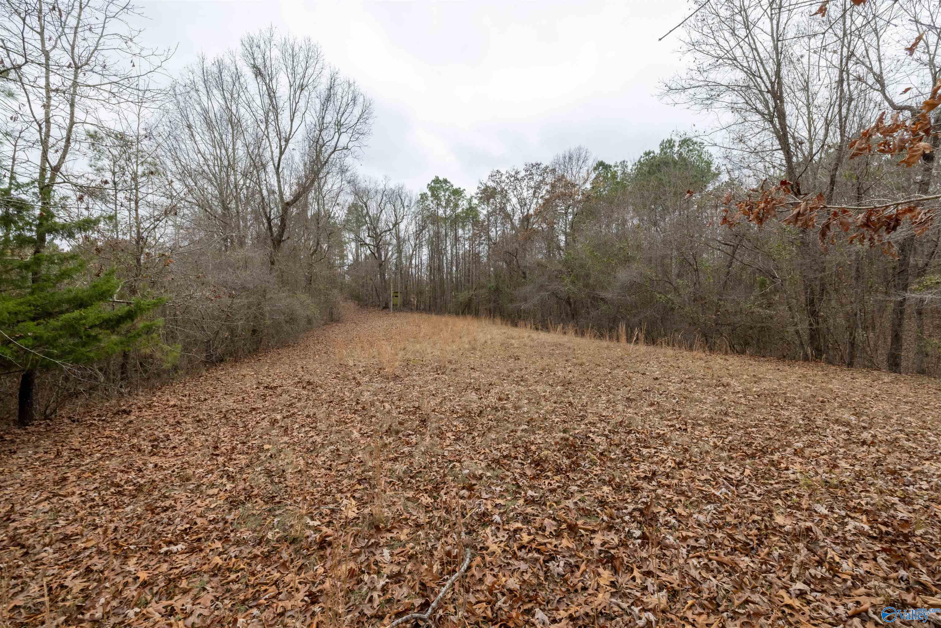 2.3 Acres County Highway 29