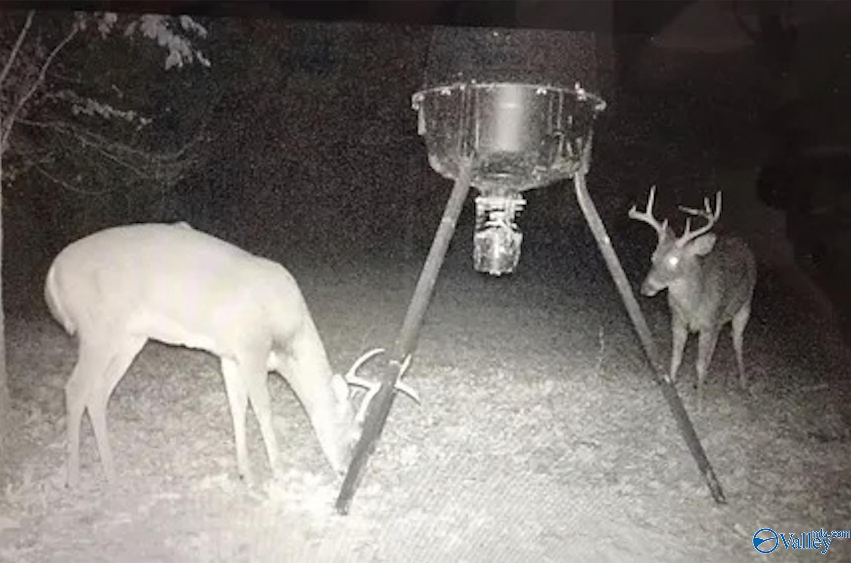 2.3 Acres County Highway 29