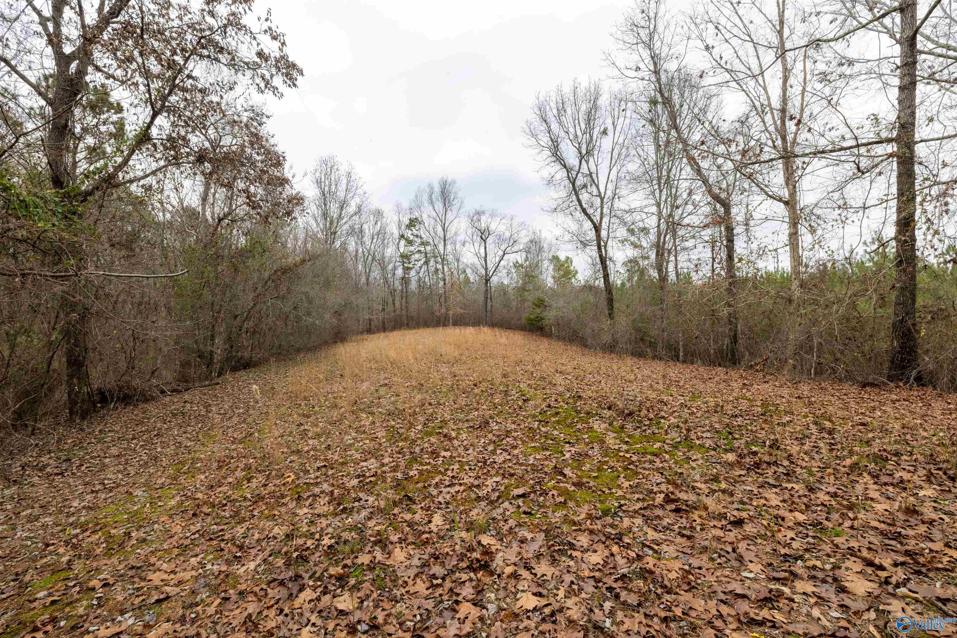 2.3 Acres County Highway 29