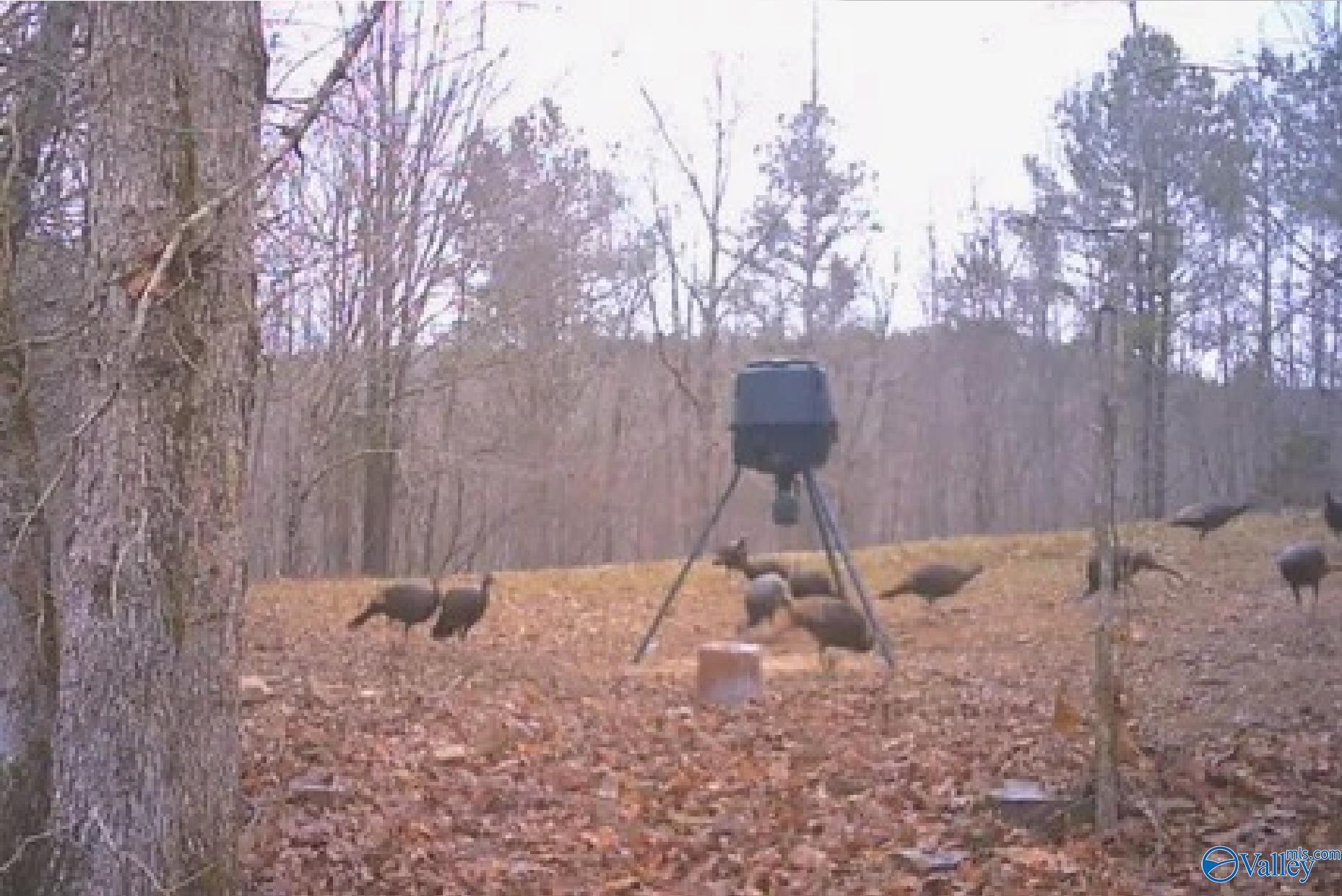 2.3 Acres County Highway 29