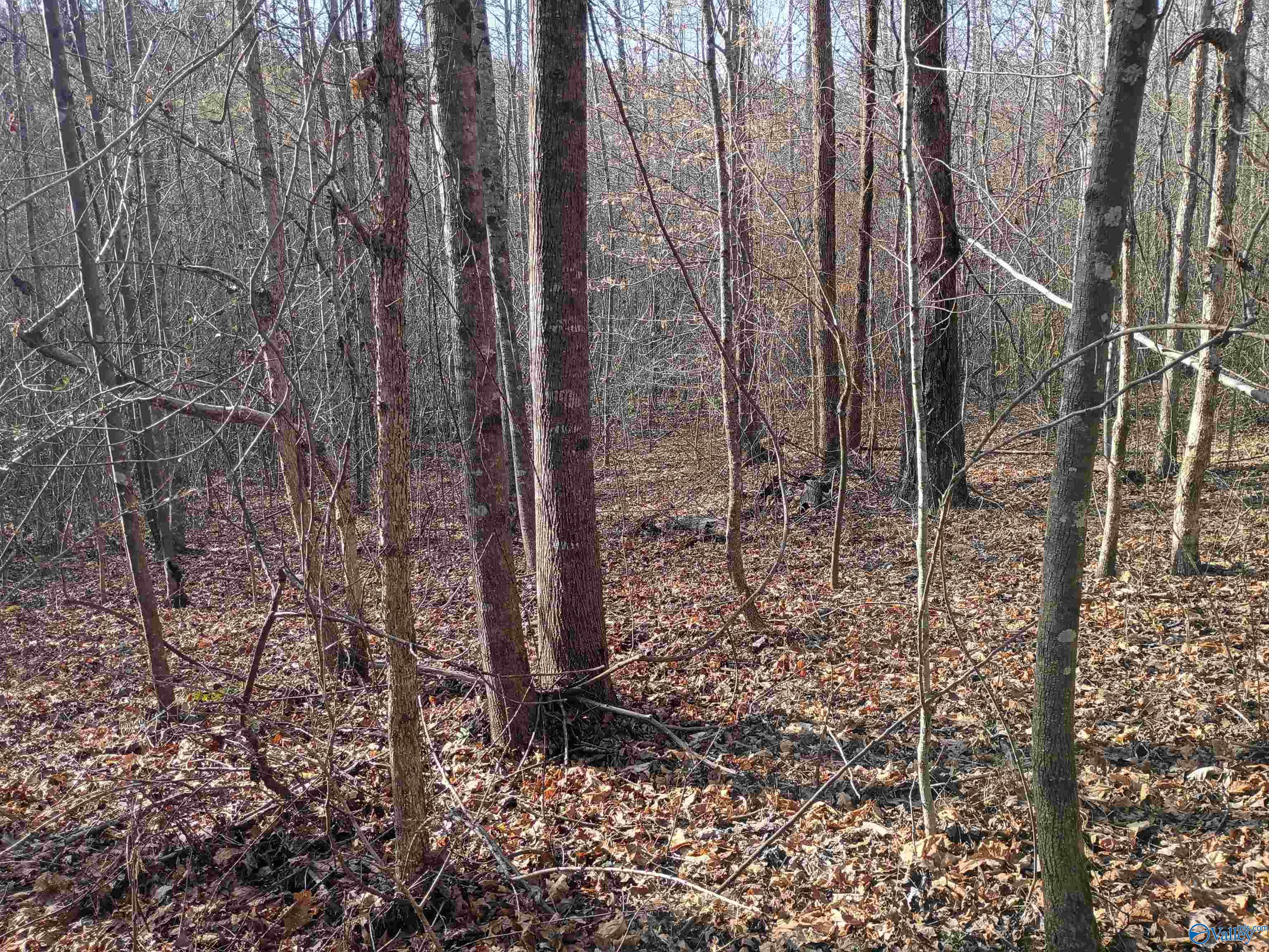 4960 Newburg Road