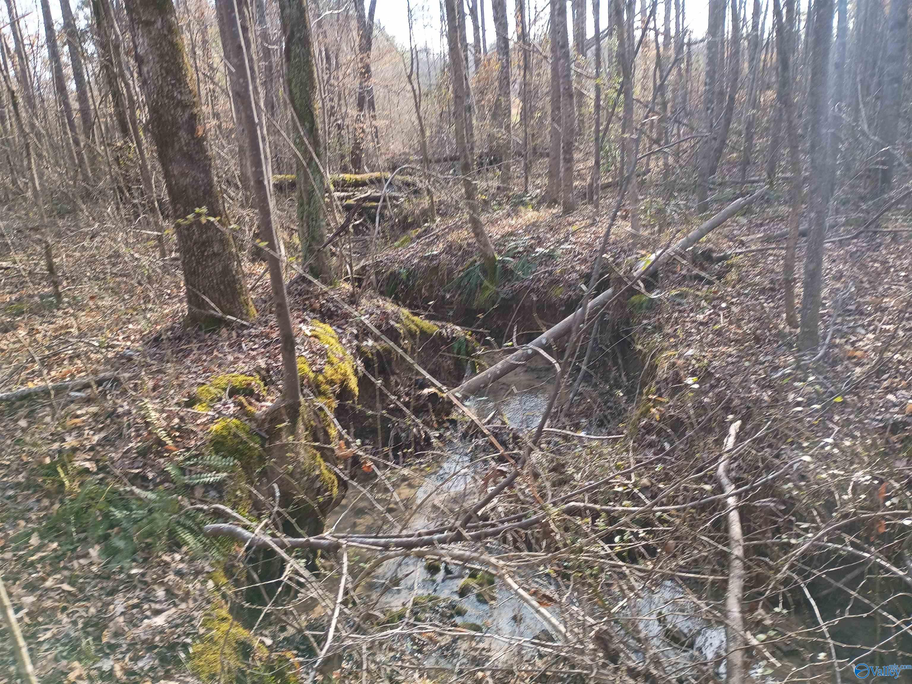 4960 Newburg Road