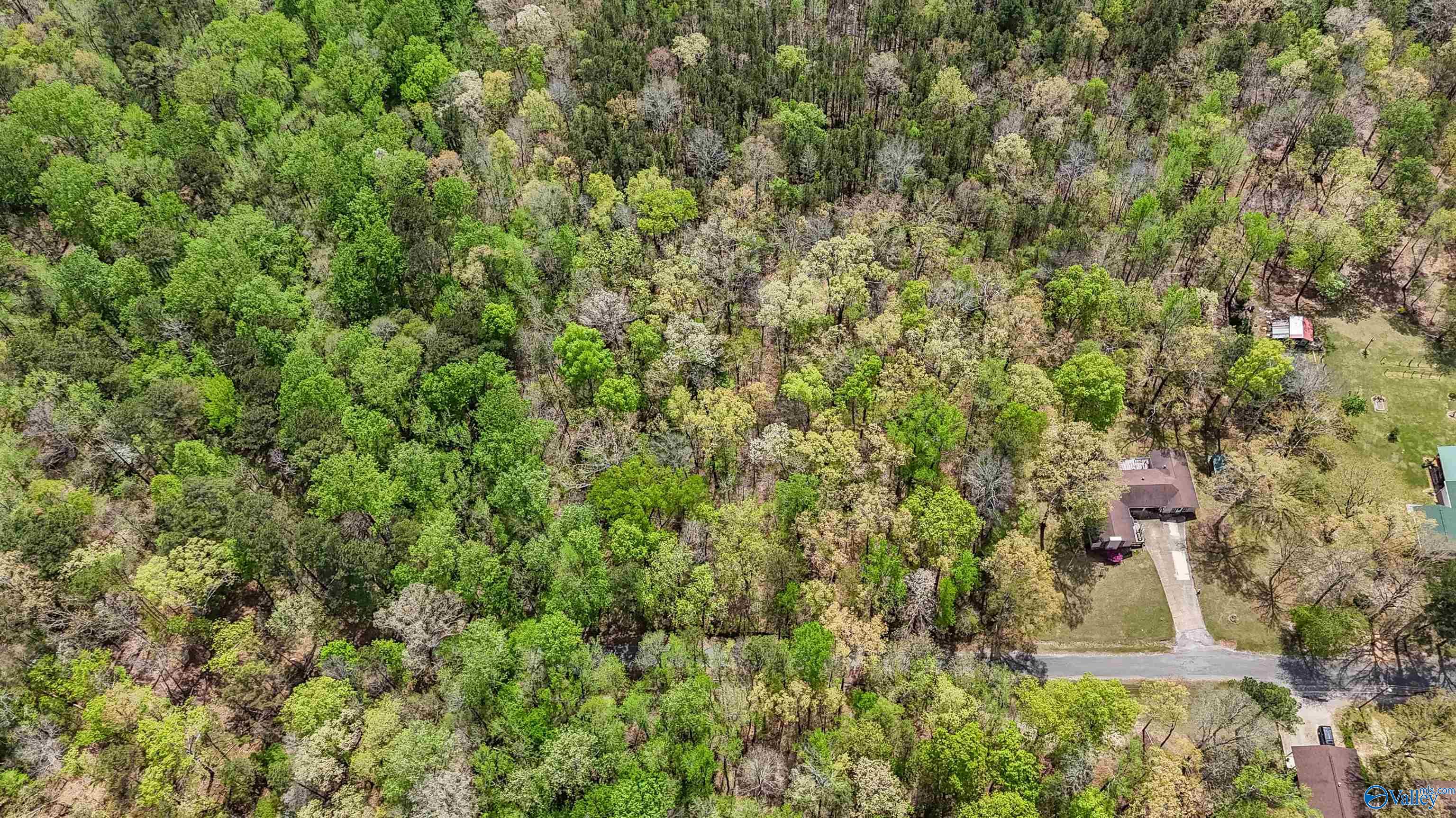 3.3 Acres Willow Street