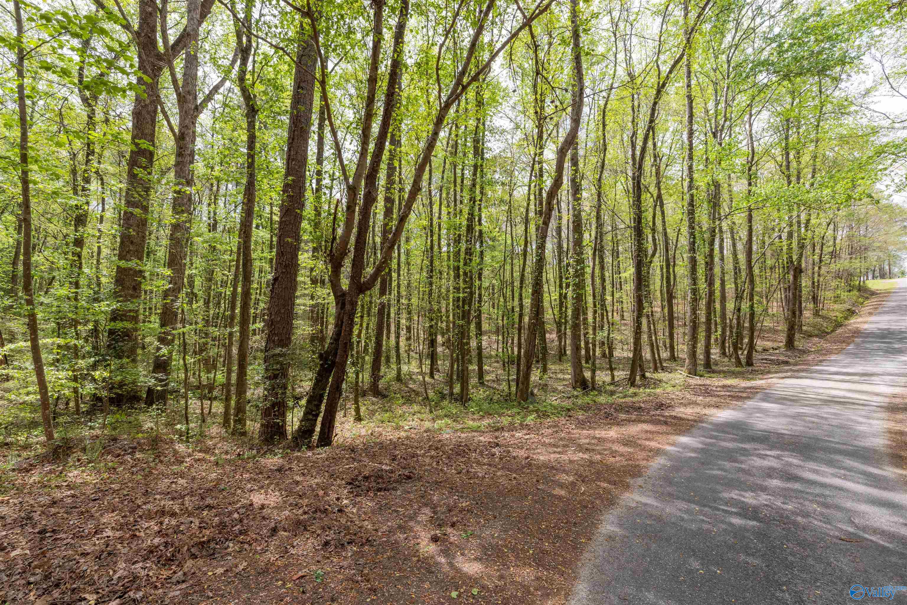 3.3 Acres Willow Street