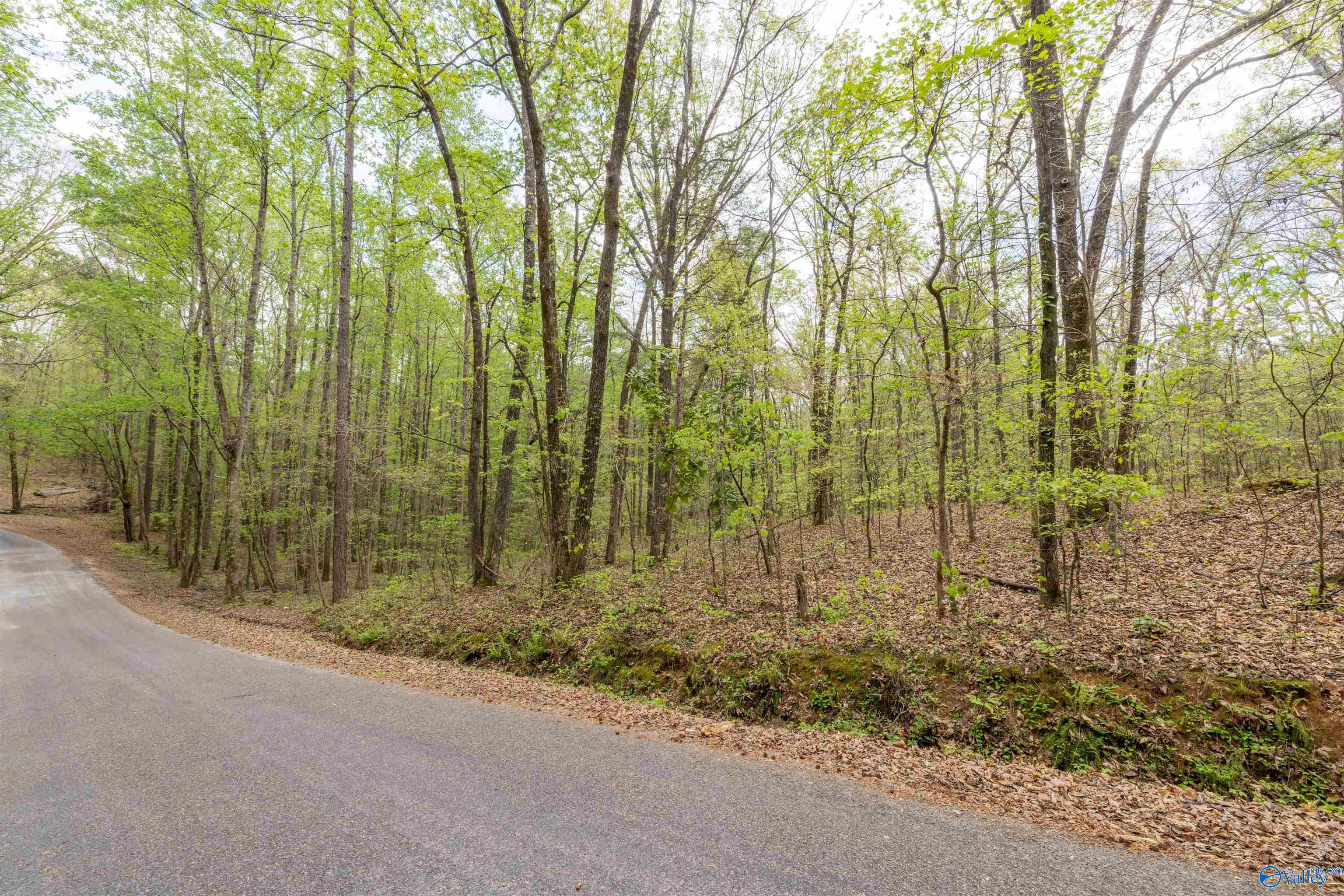 3.3 Acres Willow Street