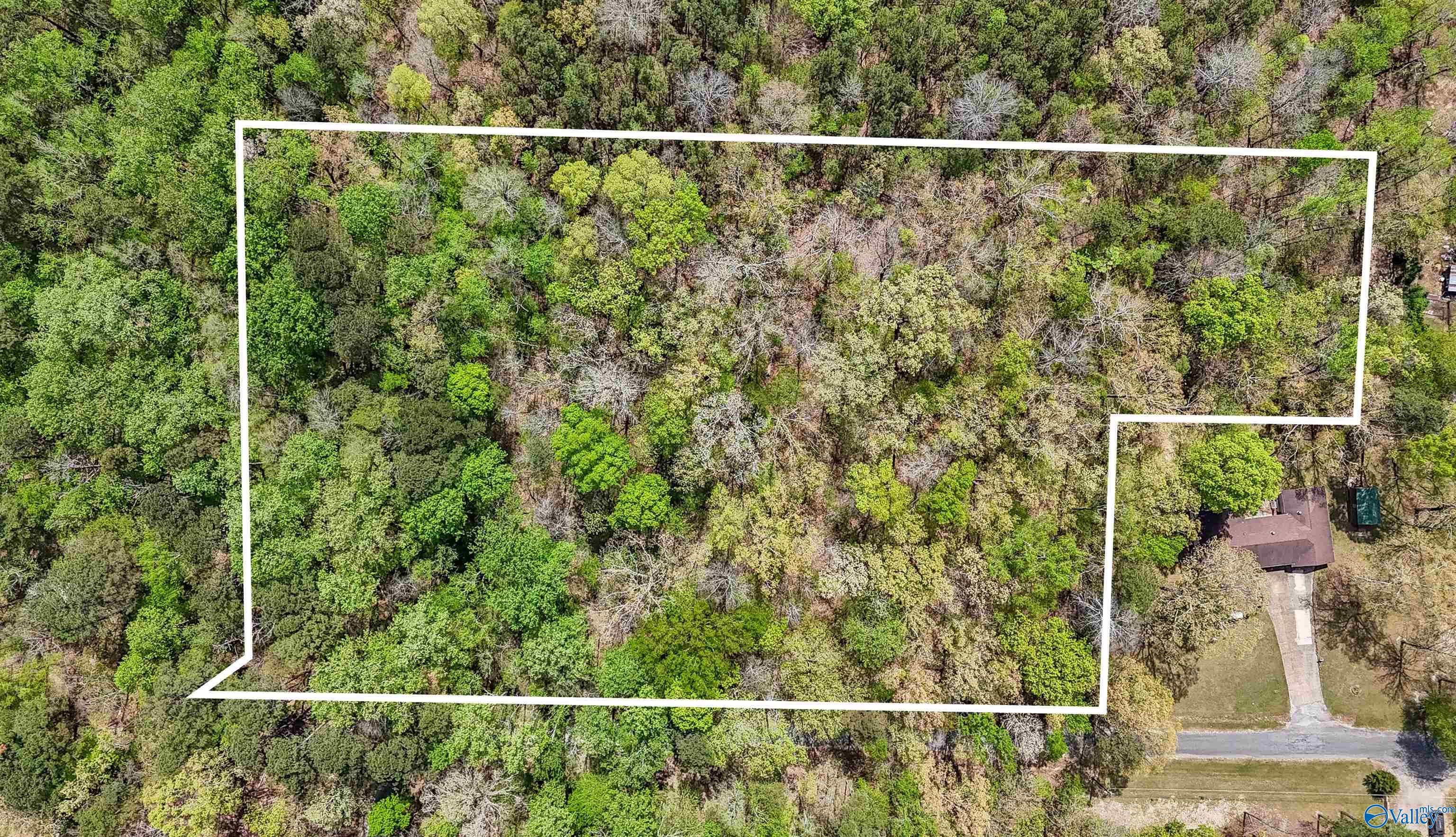 3.3 Acres Willow Street