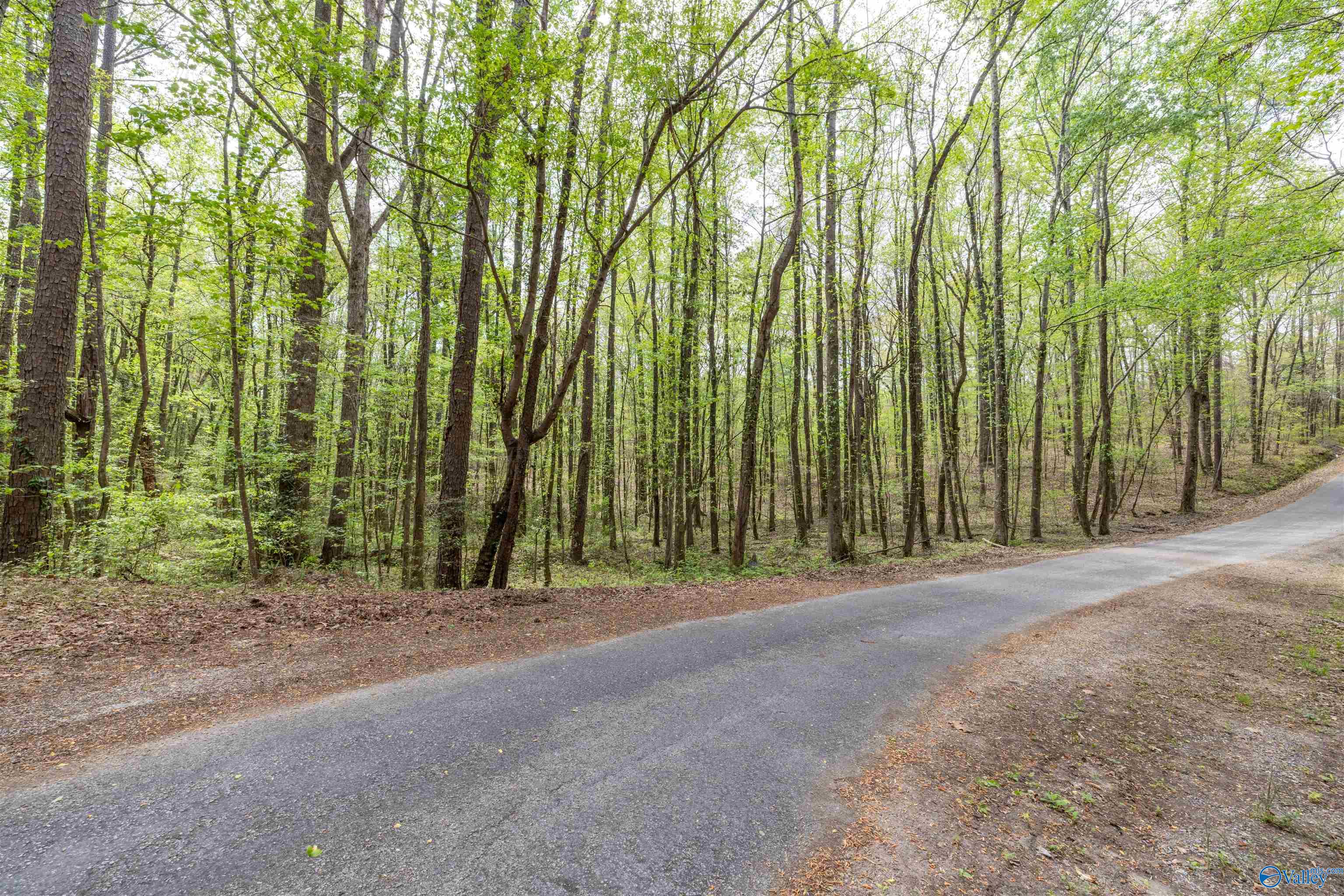 3.3 Acres Willow Street