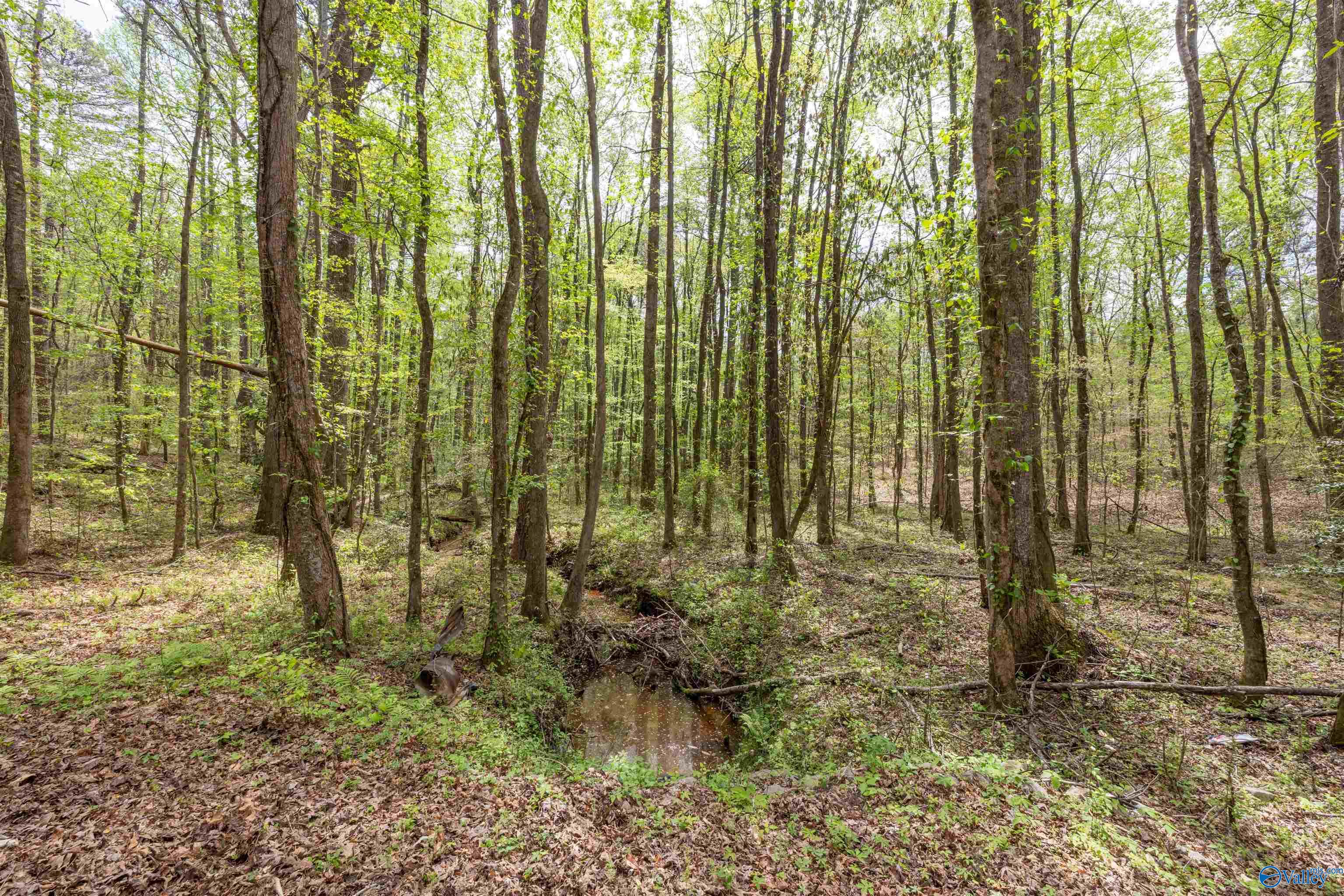 3.3 Acres Willow Street