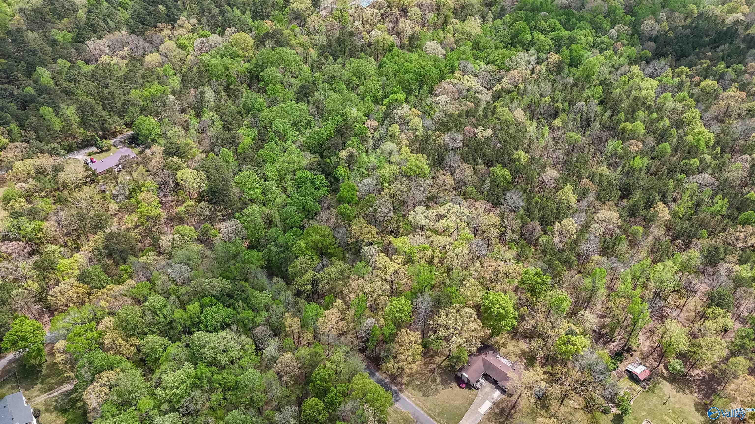 3.3 Acres Willow Street
