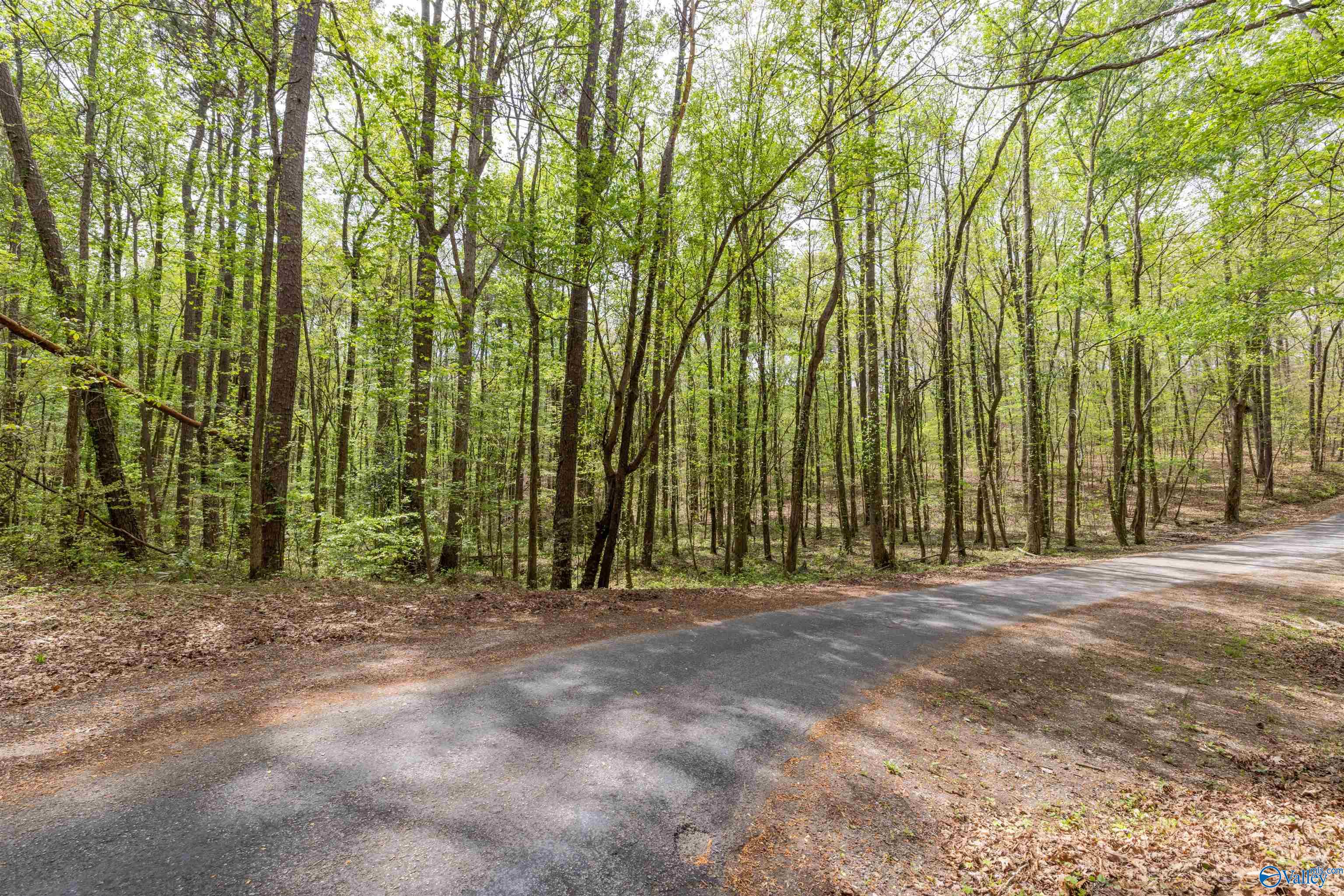 3.3 Acres Willow Street