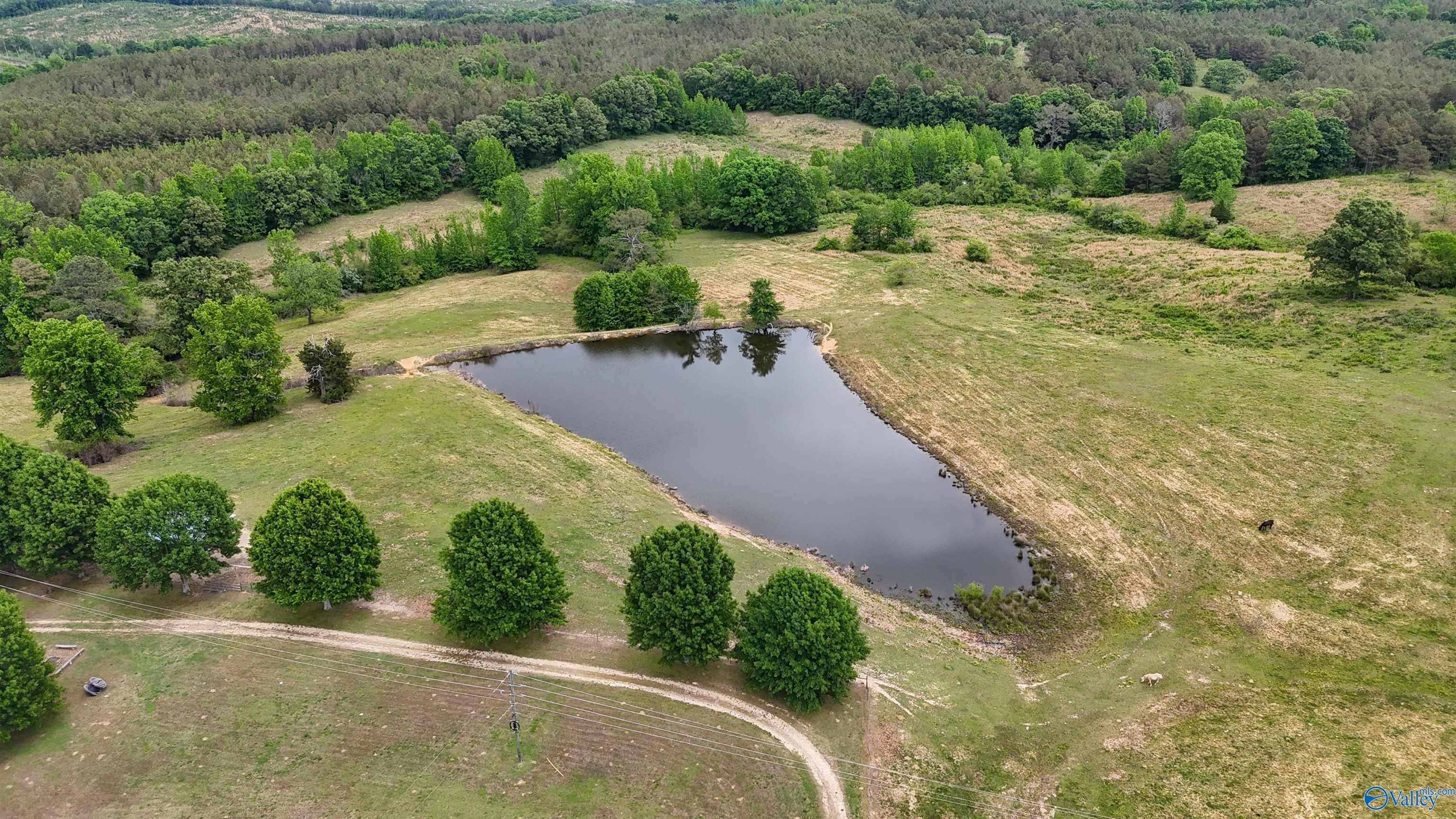 12108 State Highway 233