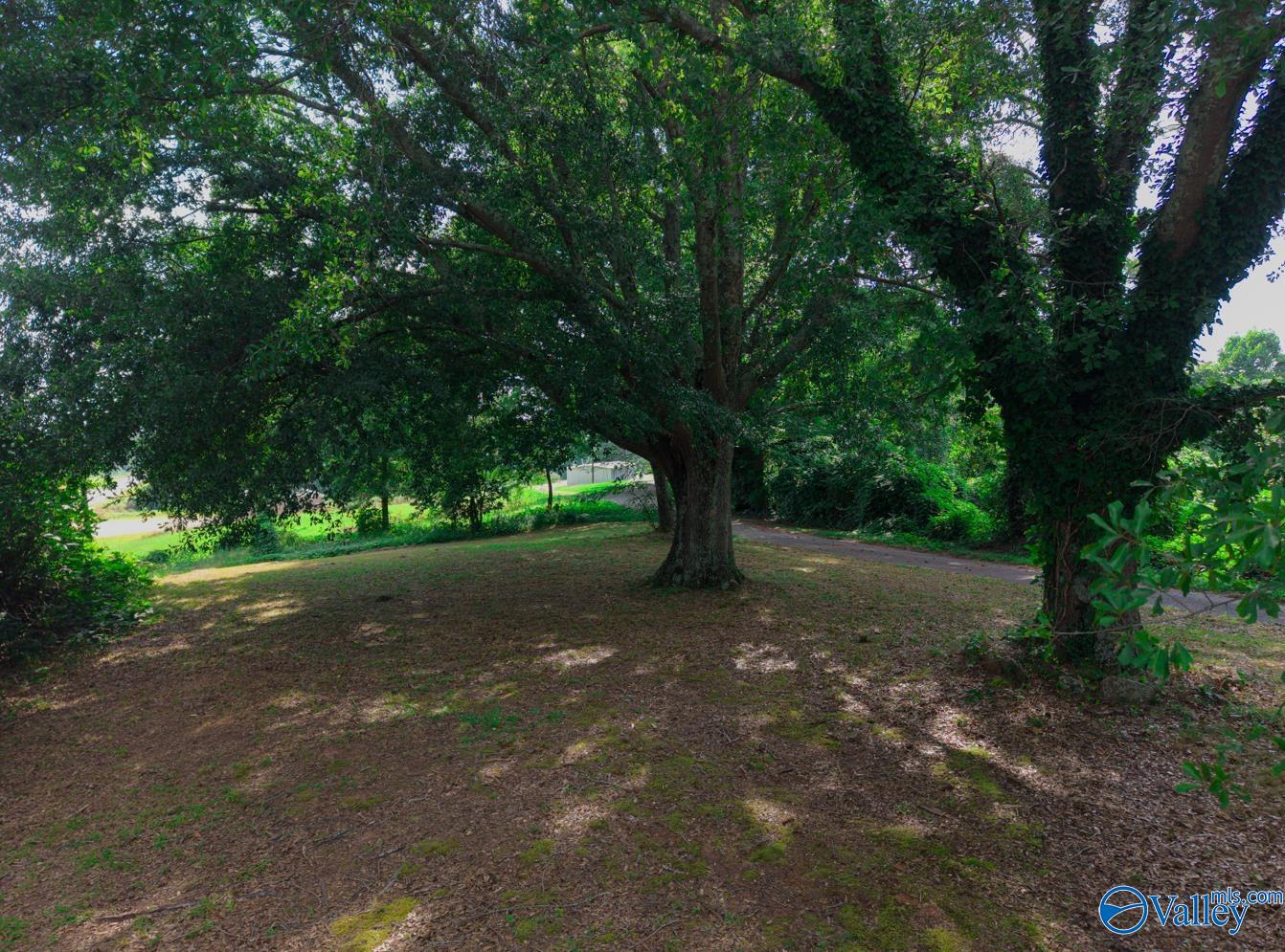 414 Buckhorn Trail
