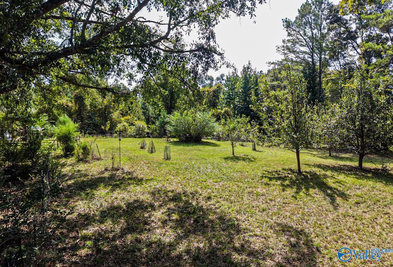 237 Marion Stough Road