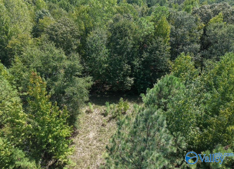 237 Marion Stough Road