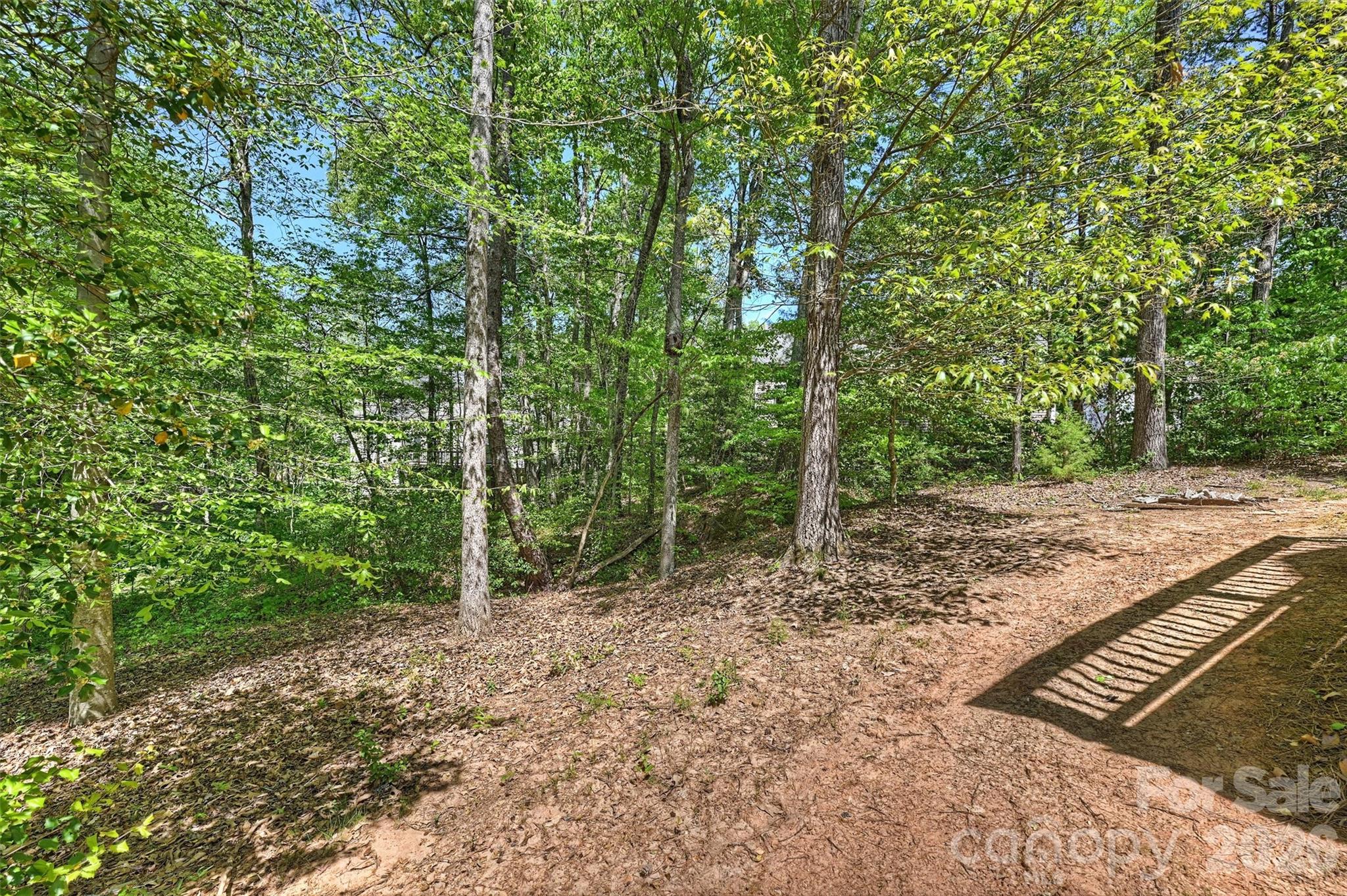 1135 Brookdale Lane