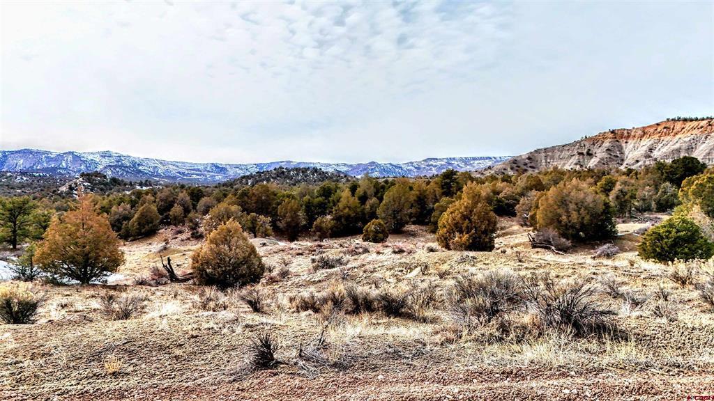 tbd La Posta Canyon Road