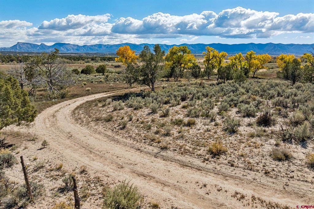 TBD Road 29