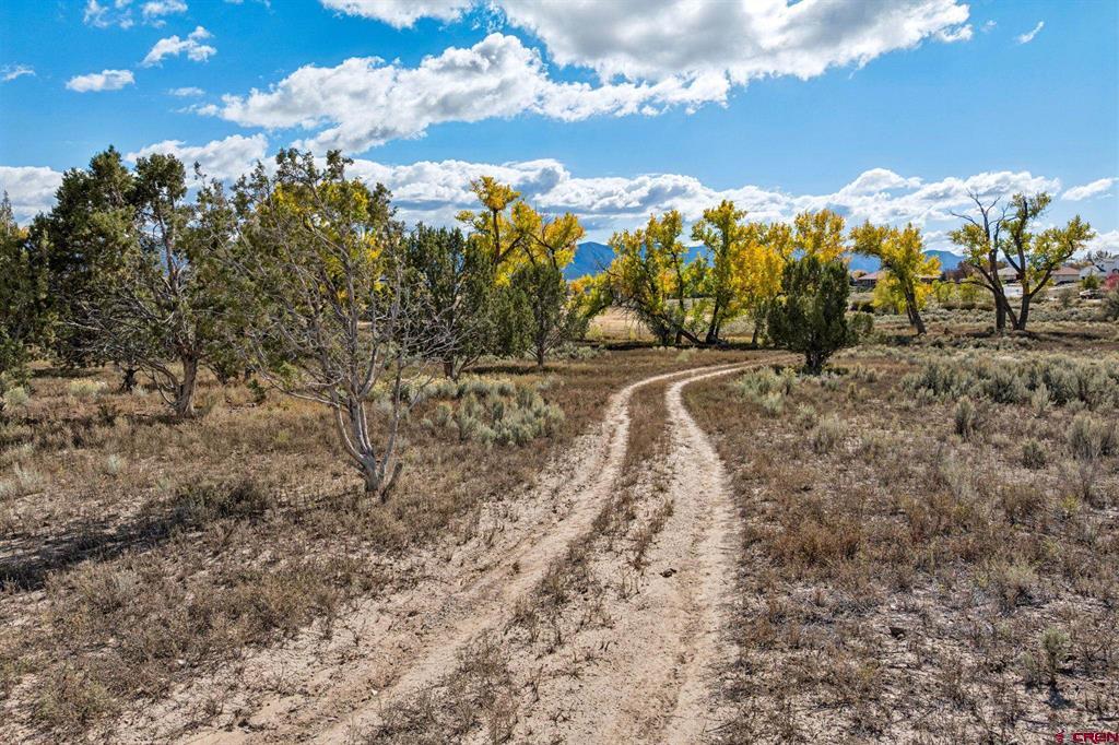 TBD Road 29