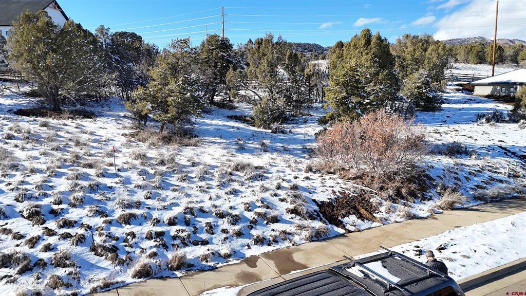 63 Salt Brush Street